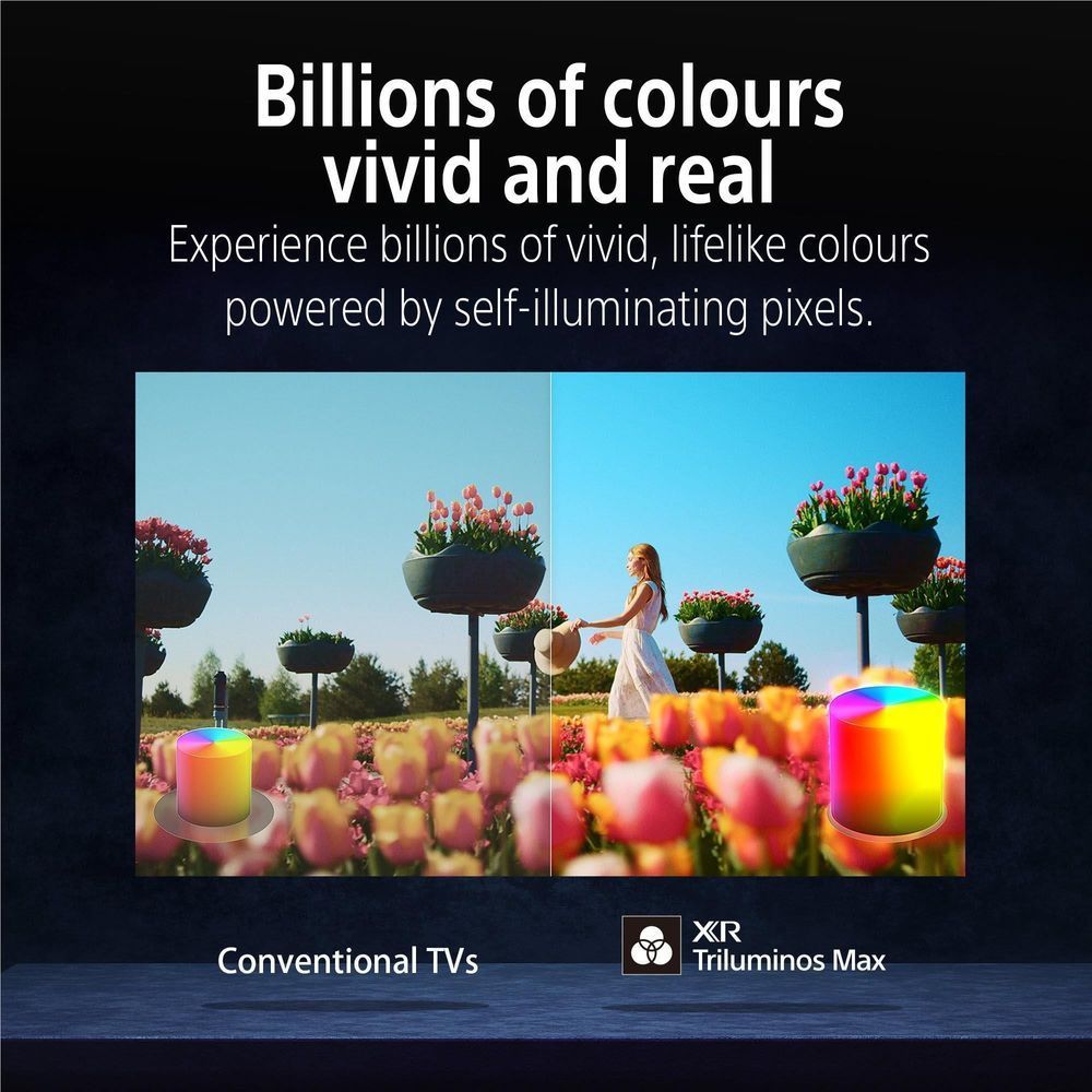 OLED TV showing two flower garden scenes with vivid, bright color