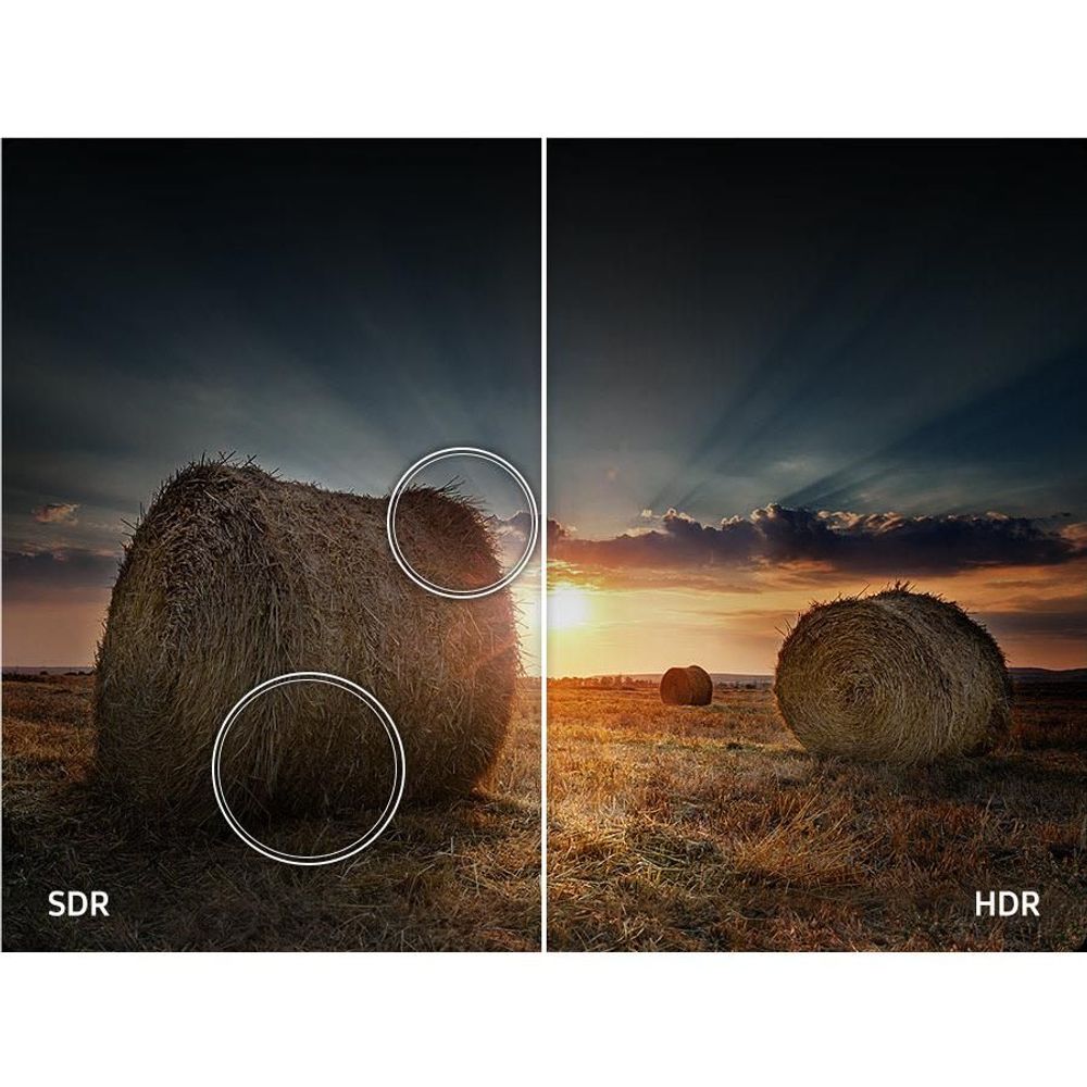 Samsung 55" Q7F QLED 4K Smart TV [2025]
