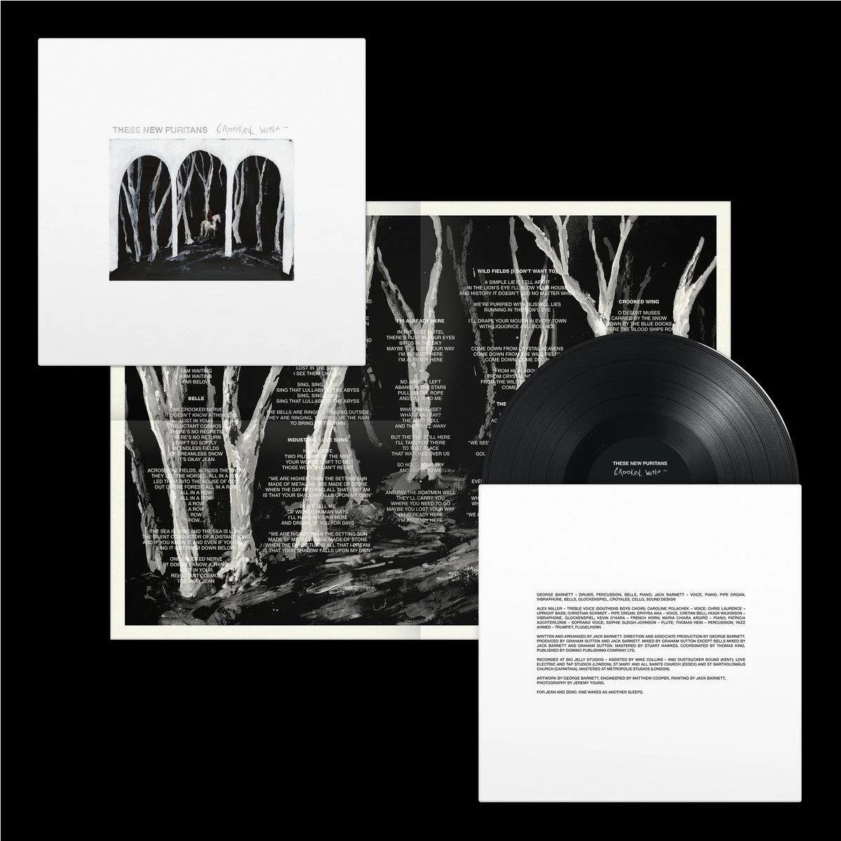 Crooked Wing (Vinyl) - By: These New Puritans