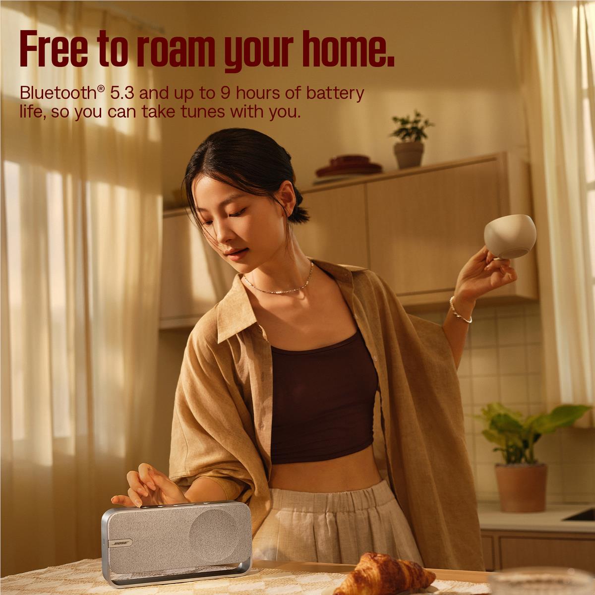 Bose SoundLink Home Bluetooth Speaker (Light Silver)