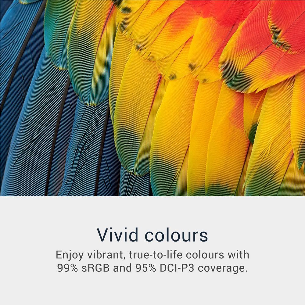 Monitor screen close-up with vivid multicolor feather graphics