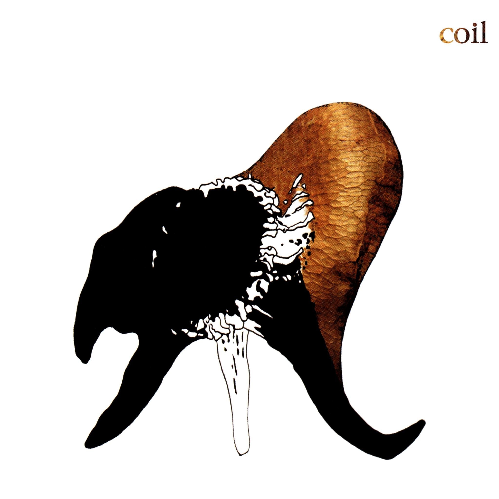 Black Antlers, By: Coil