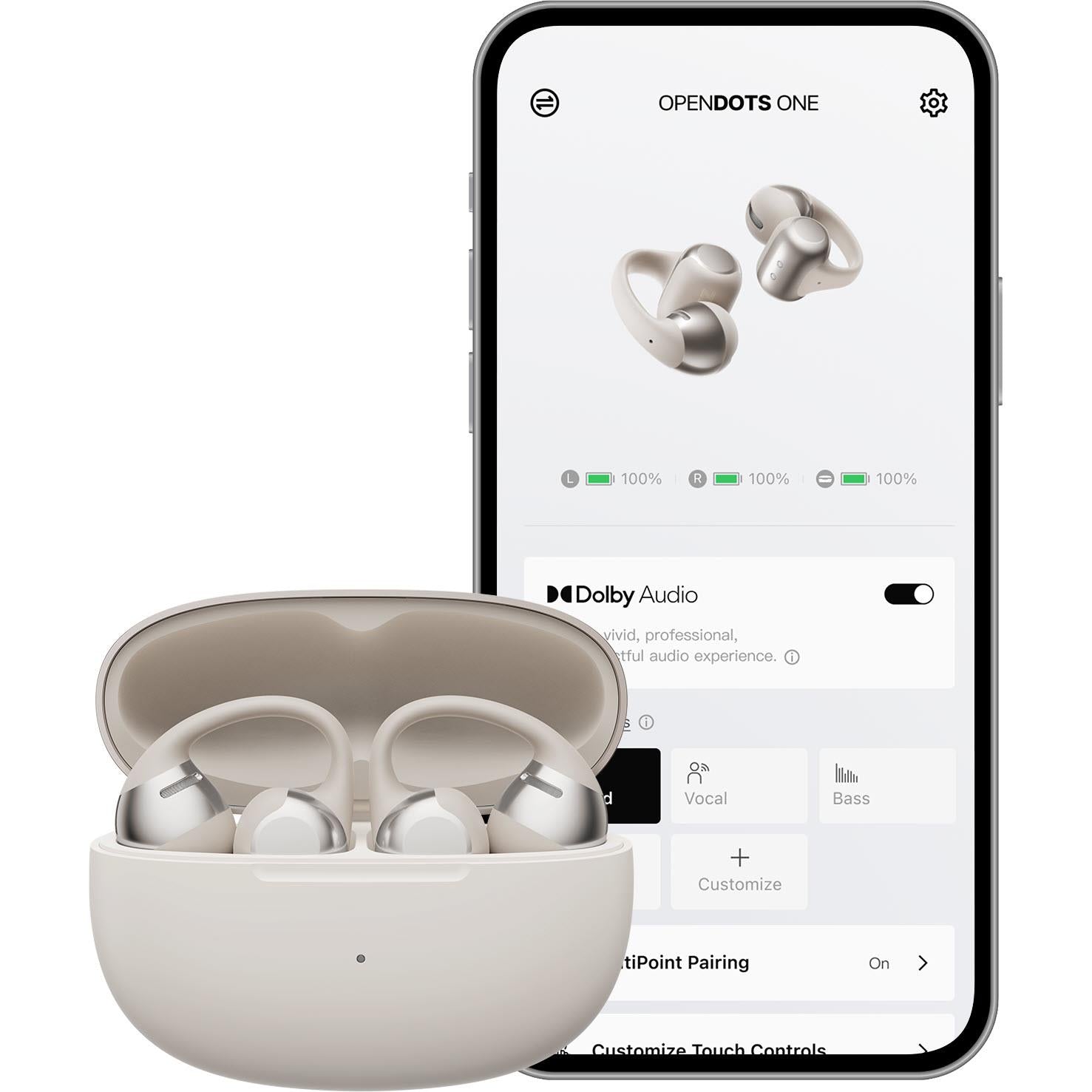 Shokz OpenDots One Open-Ear TWS Earbuds (Grey)