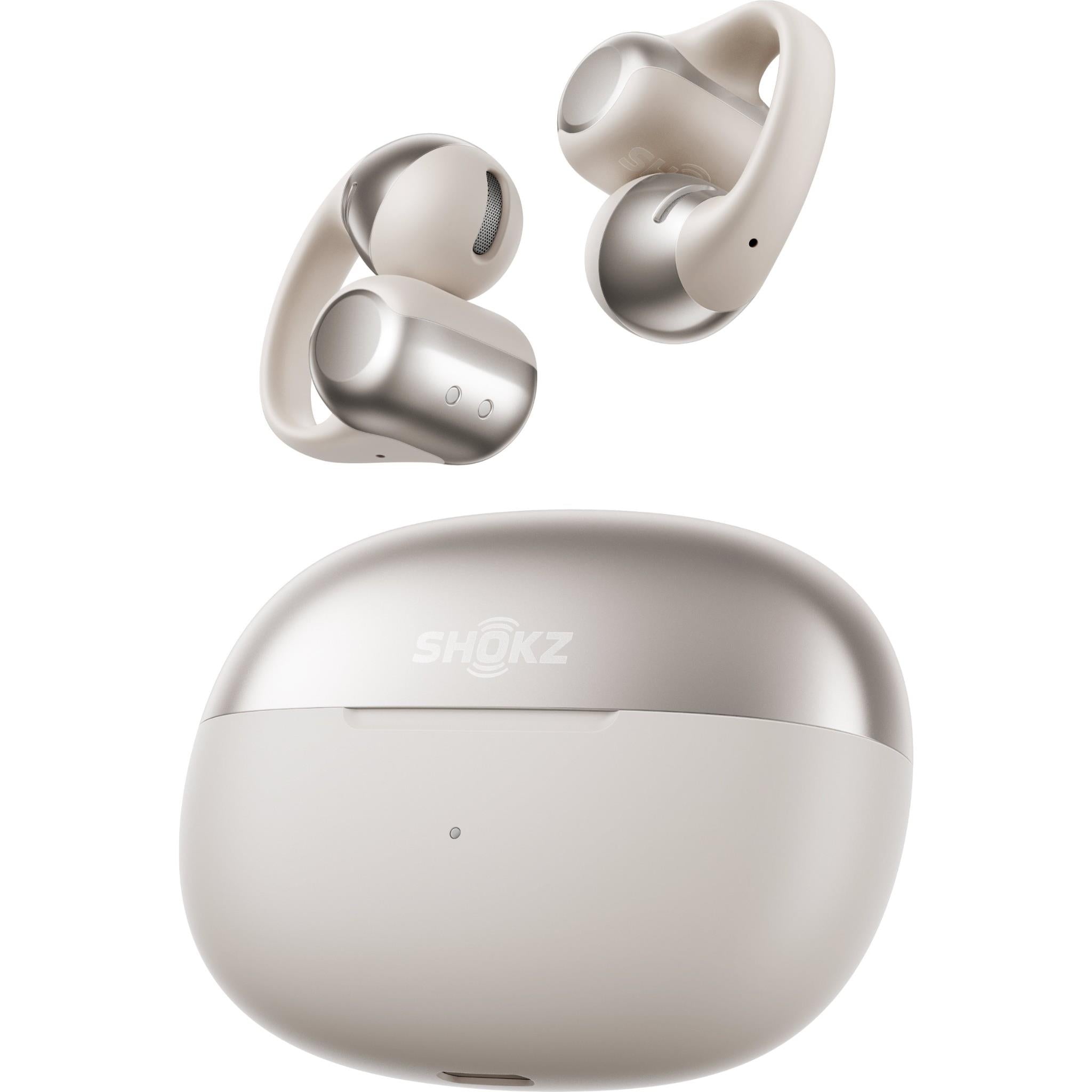 Shokz OpenDots One Open-Ear TWS Earbuds (Grey)