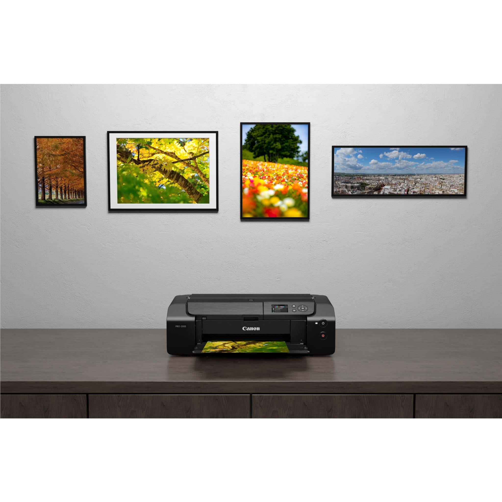 Canon PIXMA Pro-200s Photo Printer