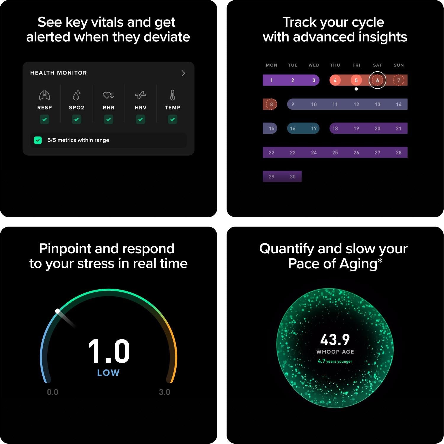 Fitness app screen with health monitor and cycle tracking tiles