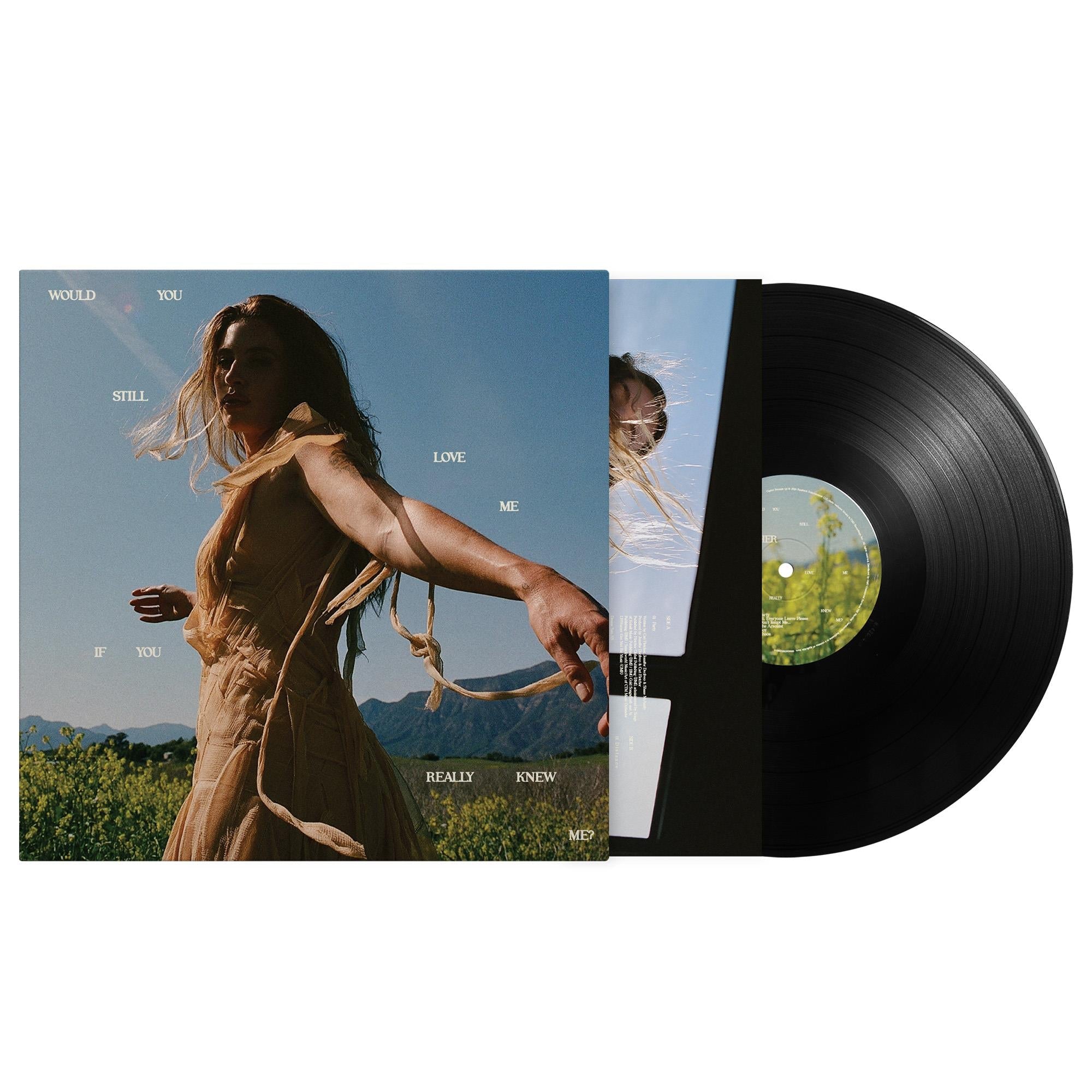 Would You Still Love Me If You Really Knew Me? (Vinyl) - By: Fletcher