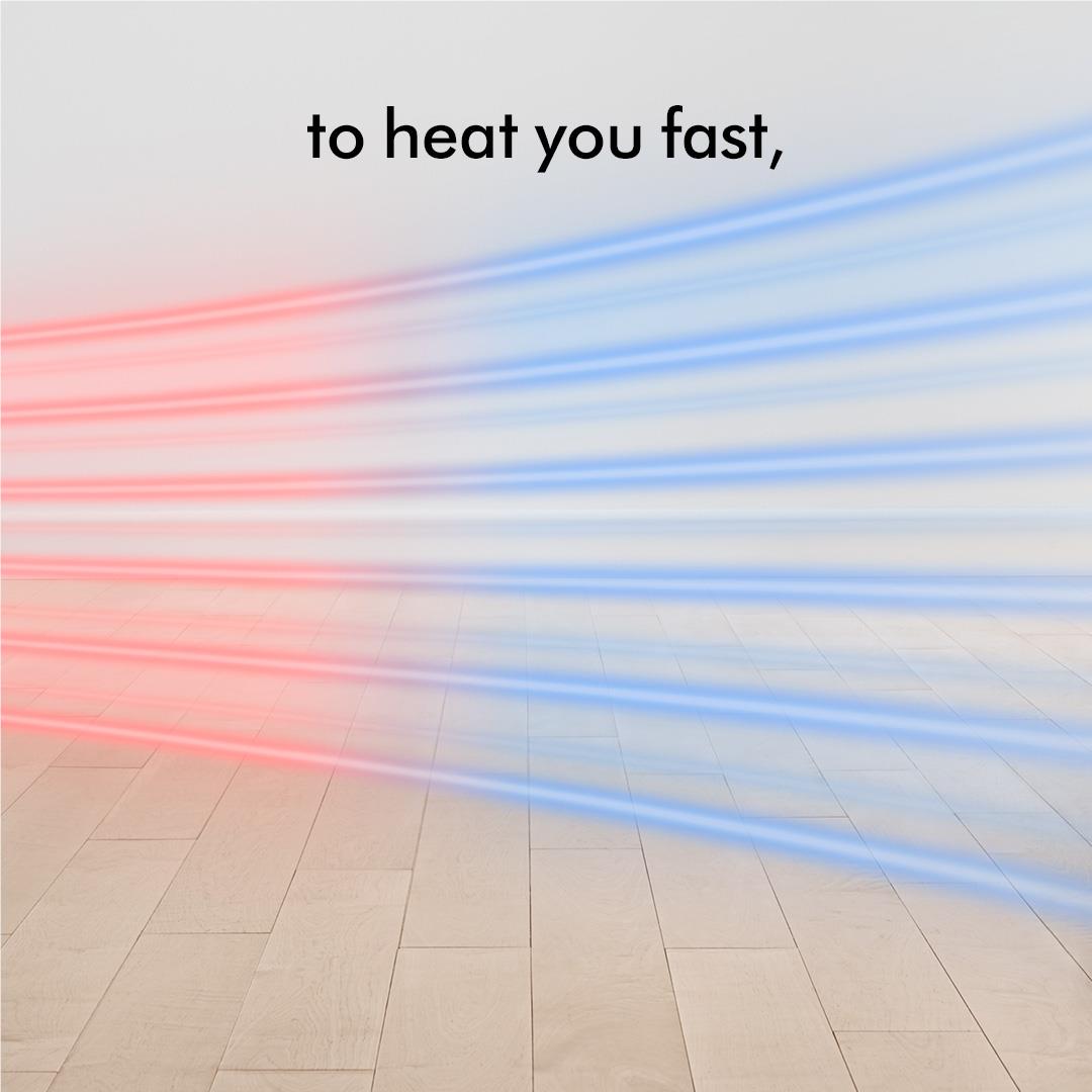 Dyson AM09 Hot+Cool Fan Heater (White/Silver)