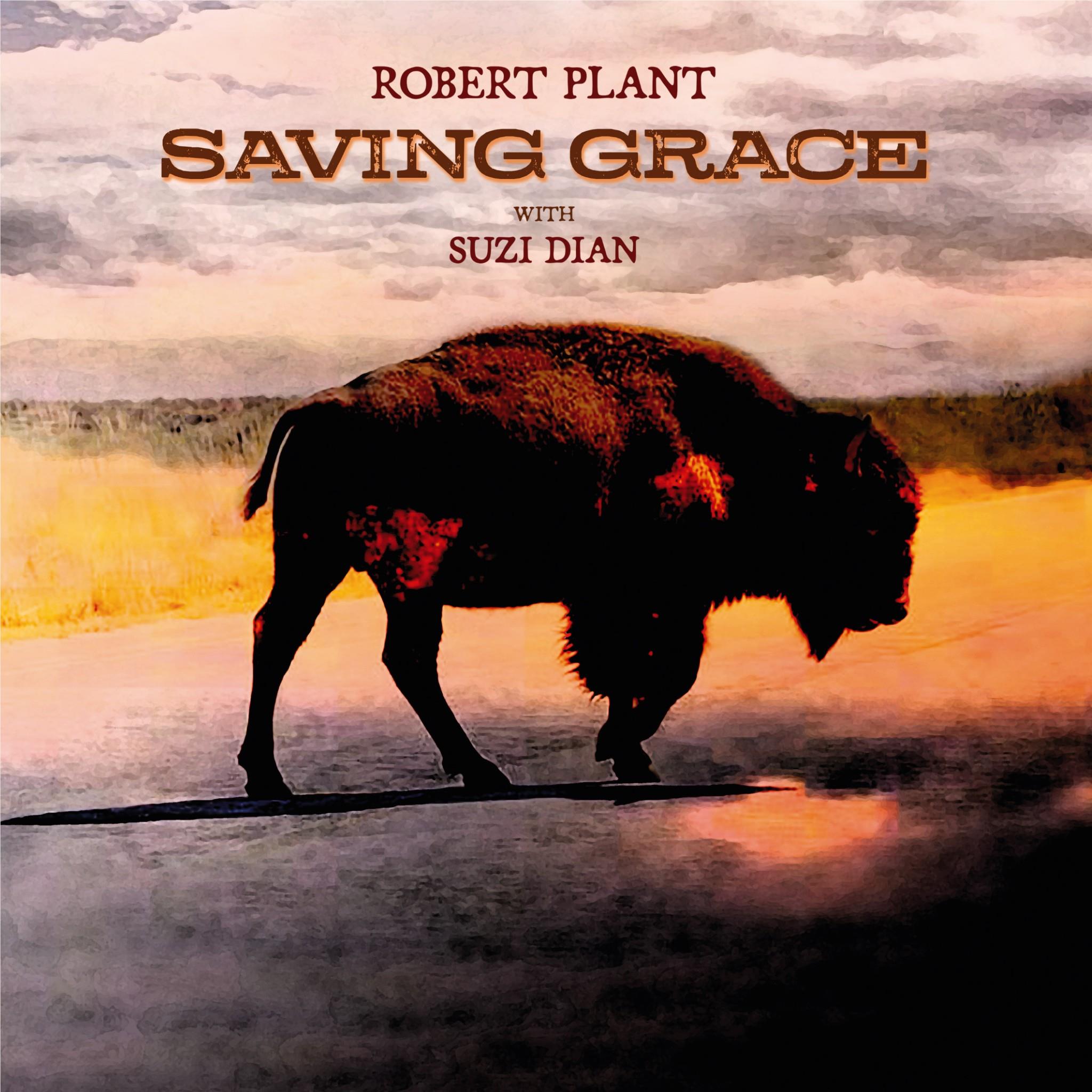 Saving Grace (Vinyl) - By: Robert Plant