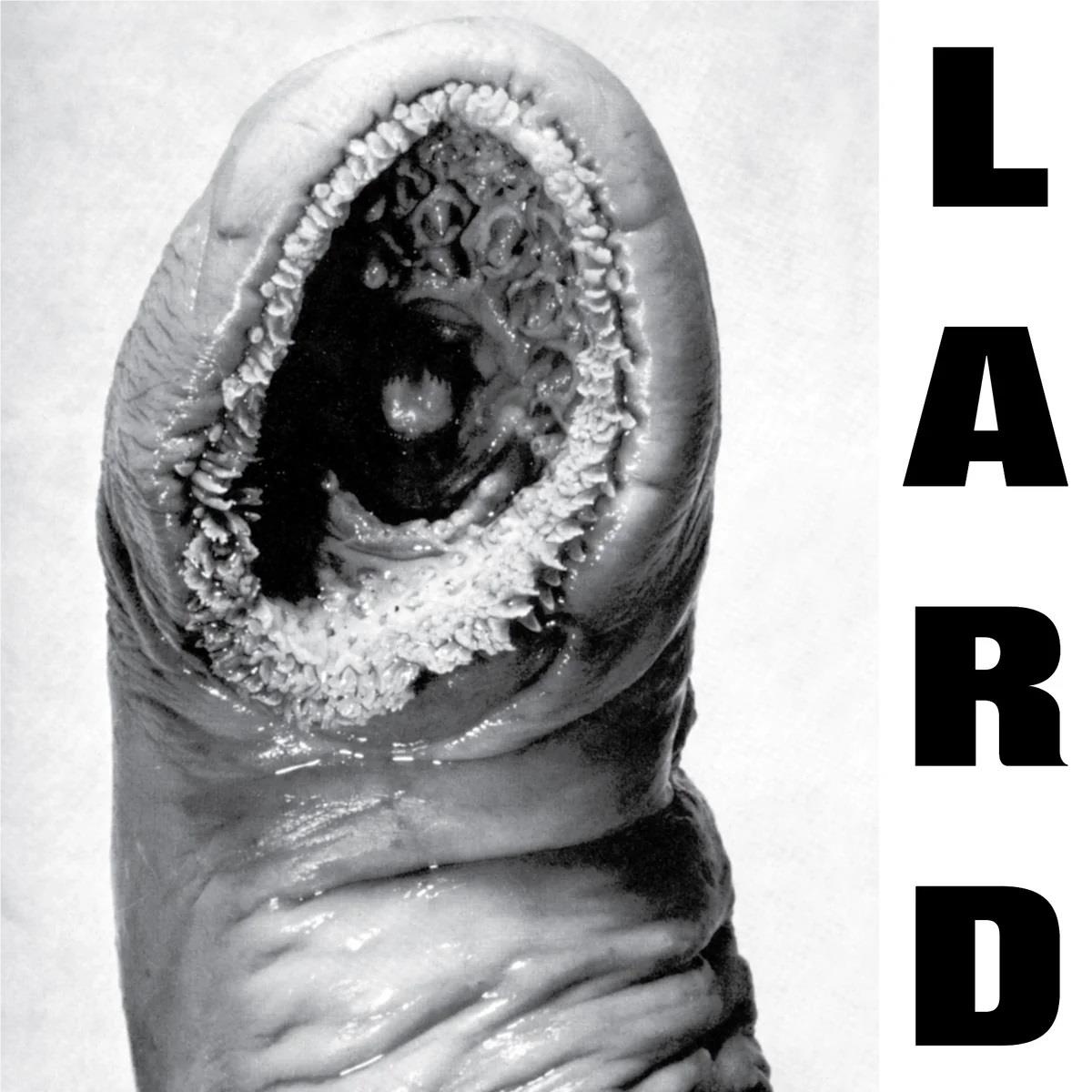 The Power Of Lard (White Vinyl) - By:Lard