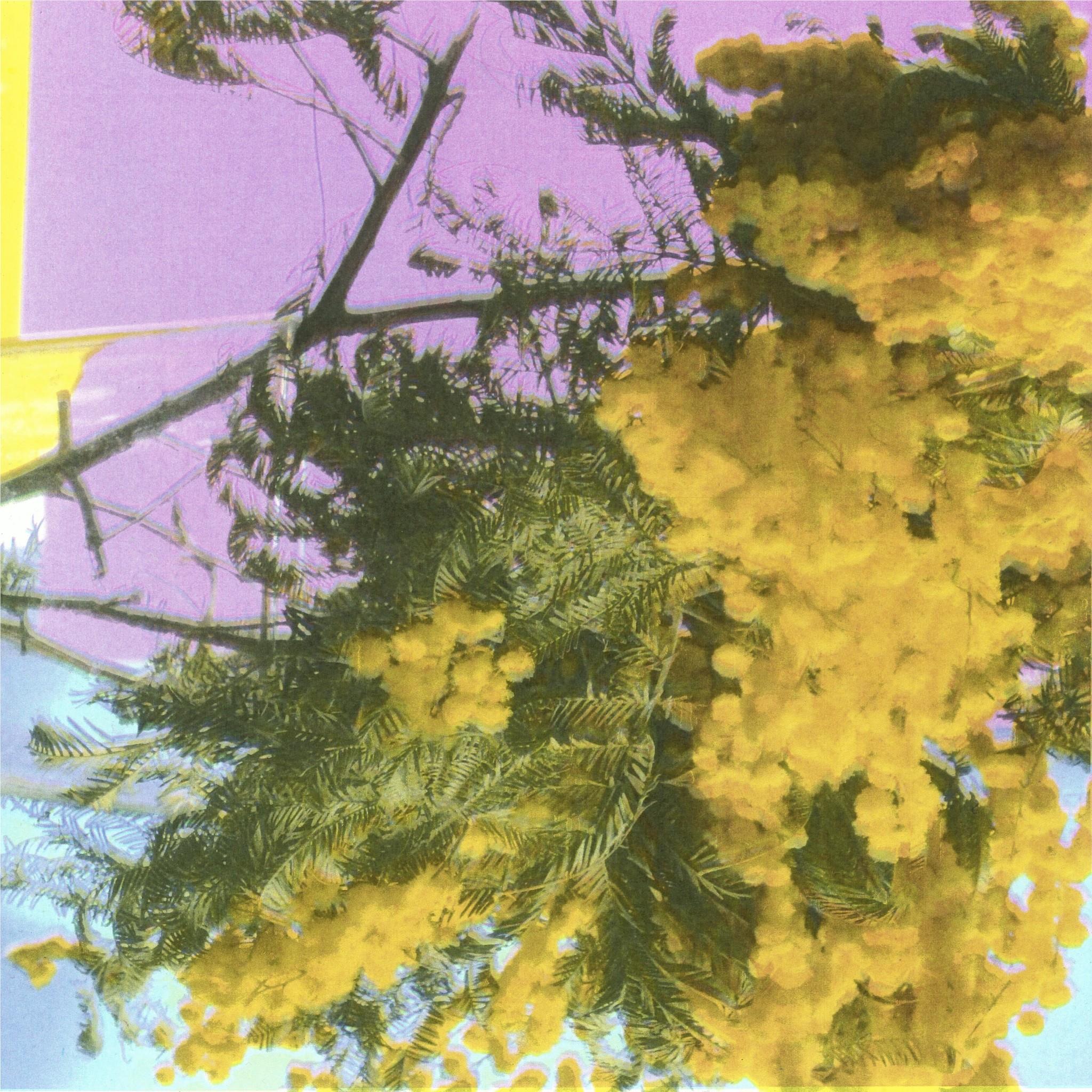 Into Dust (Still Falling) (Vinyl) - By:Four Tet