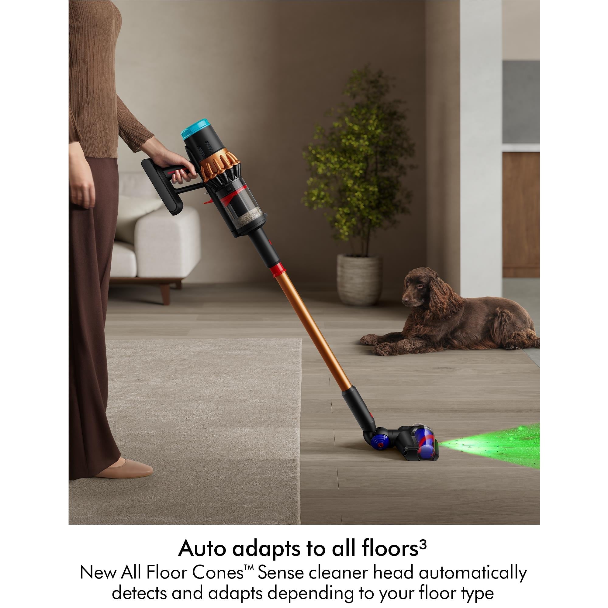 Dyson Piston Animal Stick Vacuum