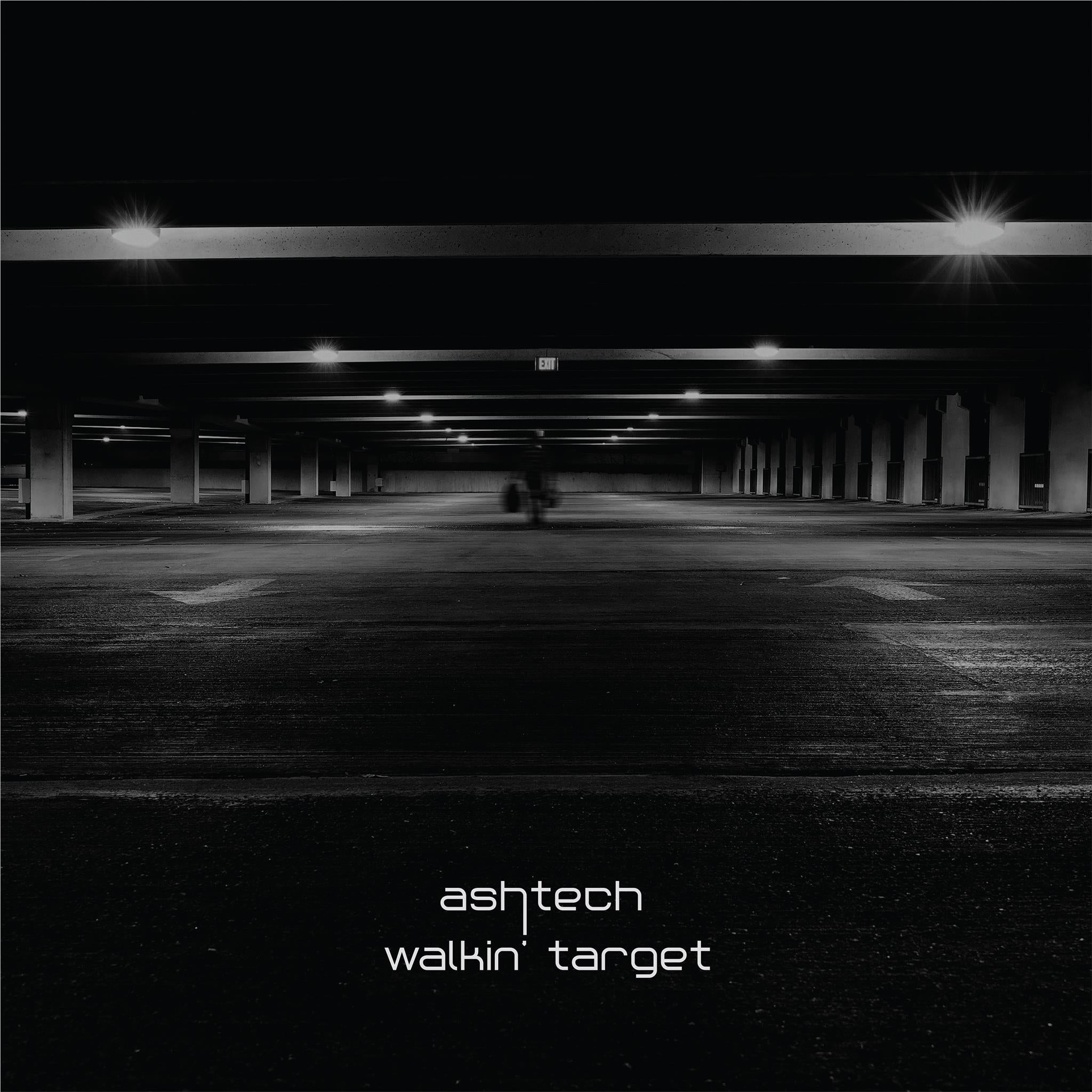 Walkin’ Target (Vinyl) - By: Ashtech