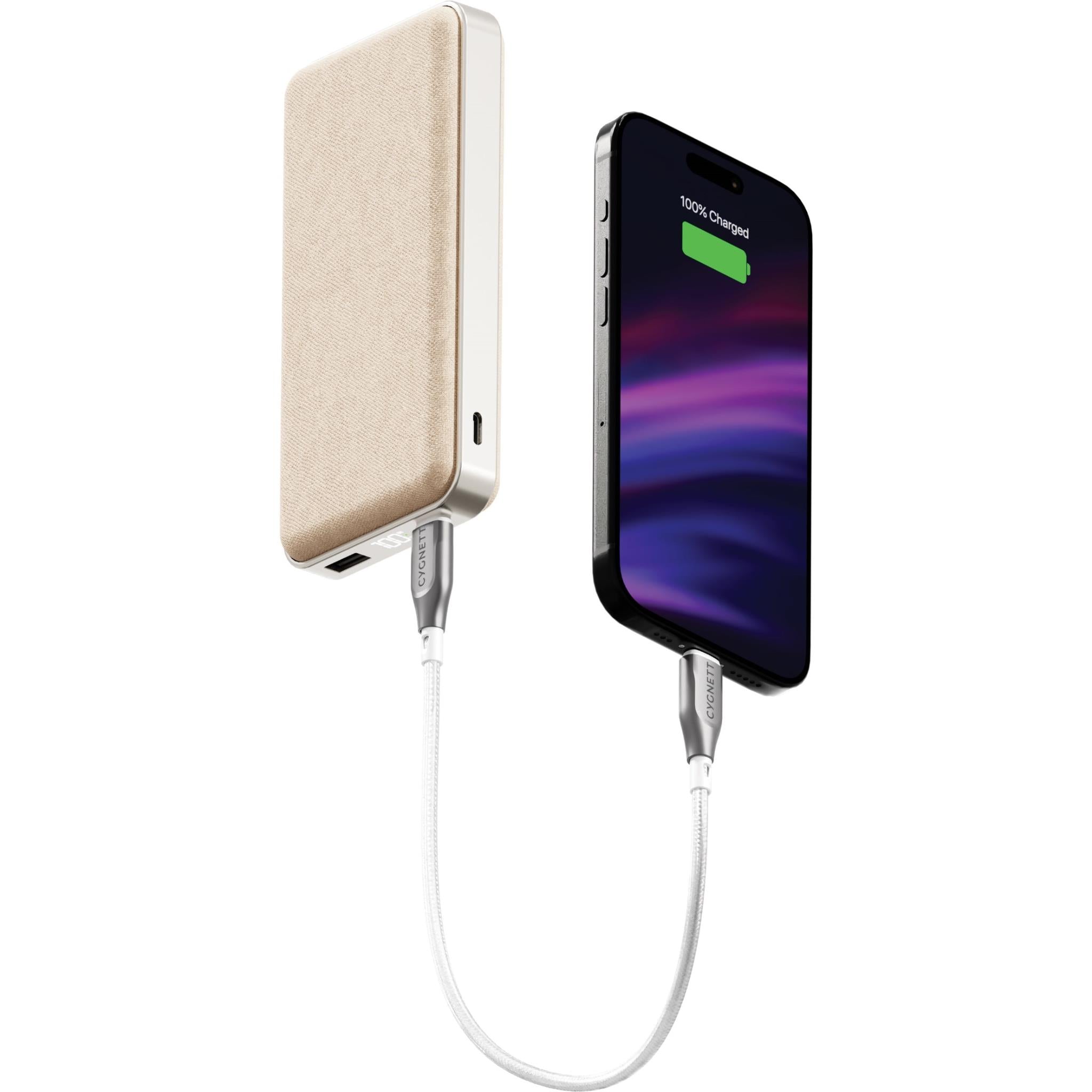 Cygnett ChargePro Power Bank [20K] (Champagne)