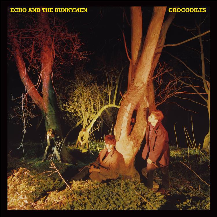 Crocodiles (2025 Reissue), By: Echo And The Bunnymen