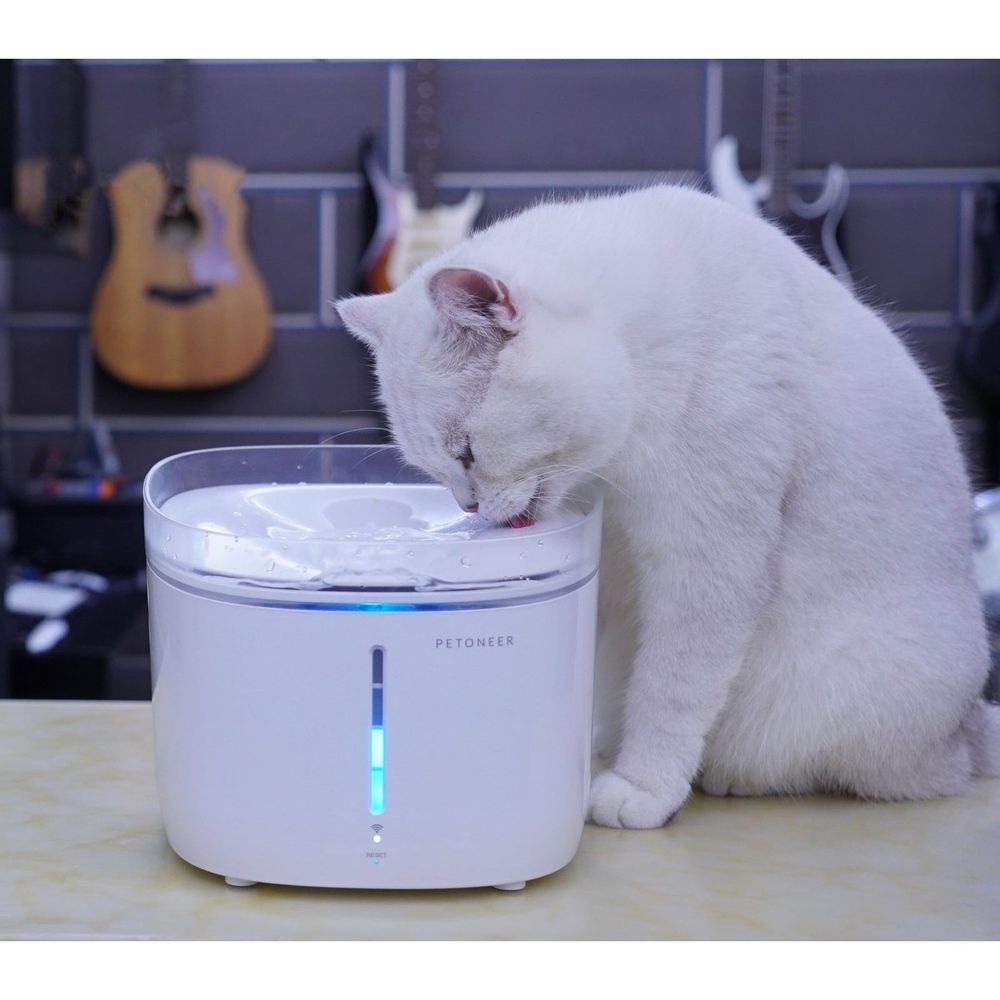 White pet water fountain with clear bowl; cat drinking from the top tray