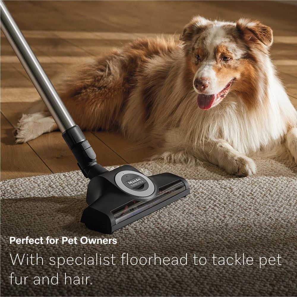 Pet-focused vacuum floor nozzle on carpet with vacuum head