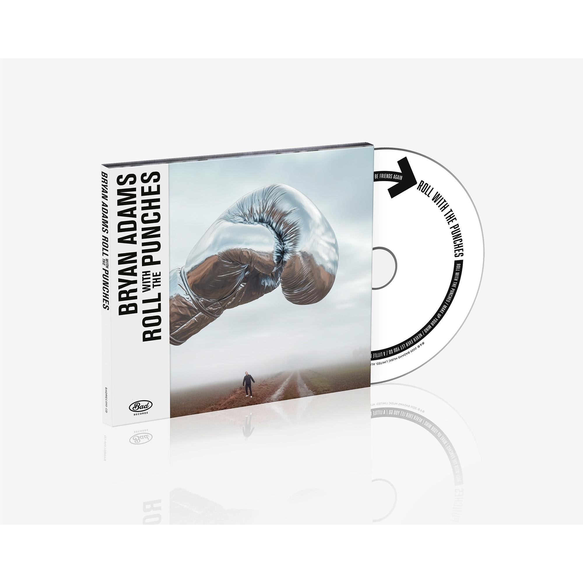 Roll With The Punches, By: Bryan Adams