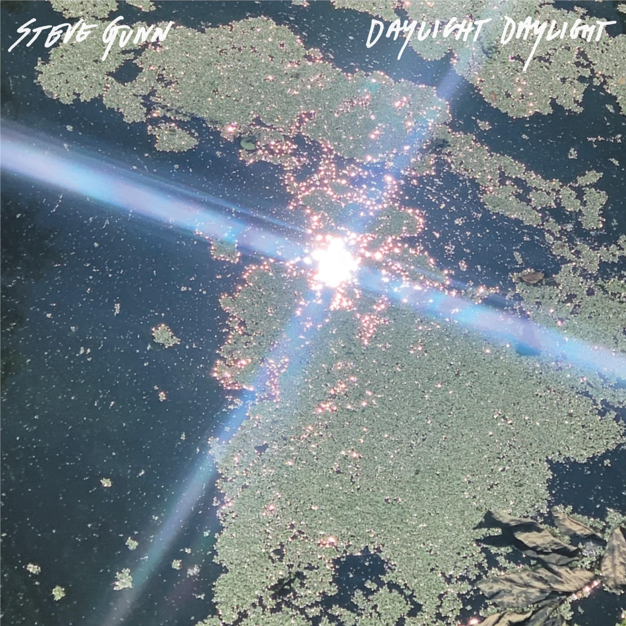 Daylight Daylight (Vinyl) - By:Steve Gunn