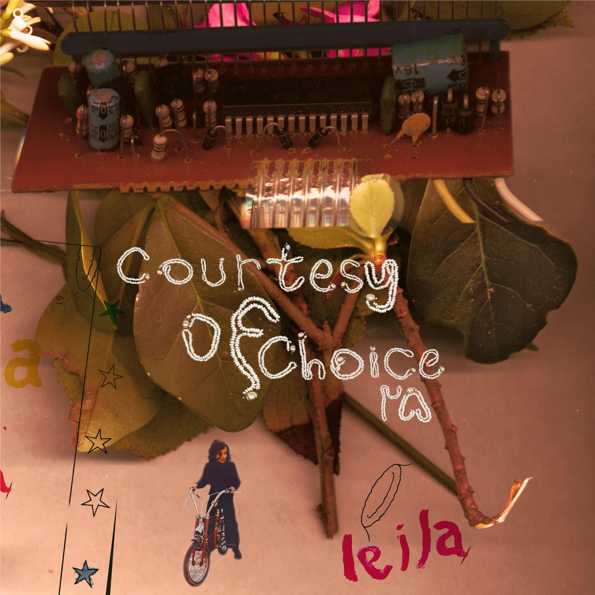 Courtesy Of Choice... Asides And Besides (25th Anniversary), By: Leila