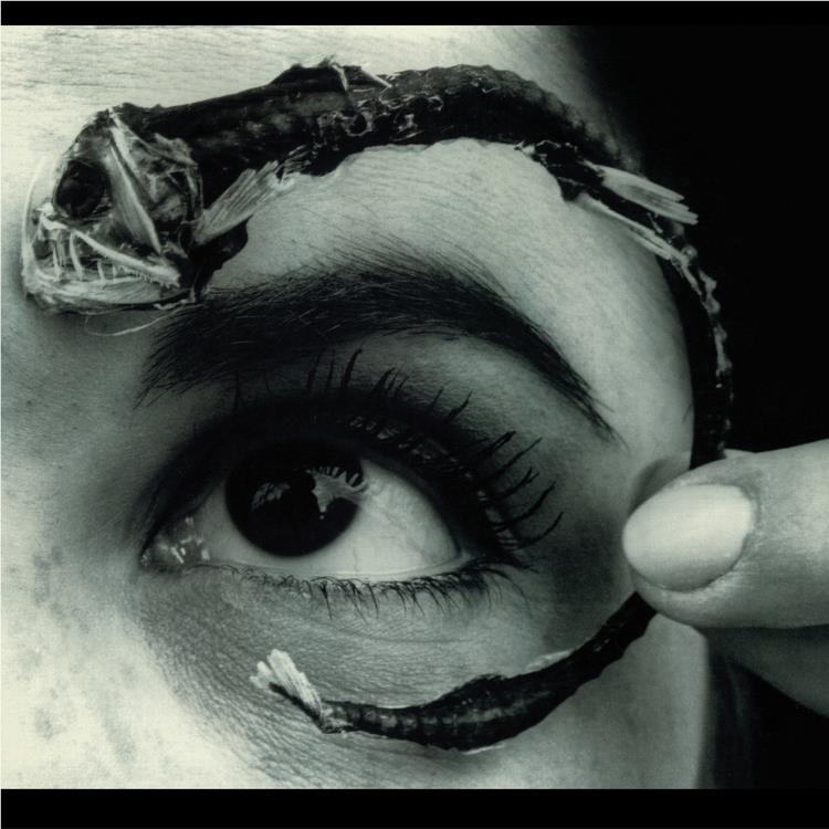Disco Volante (Blue Vinyl) - By:Mr. Bungle