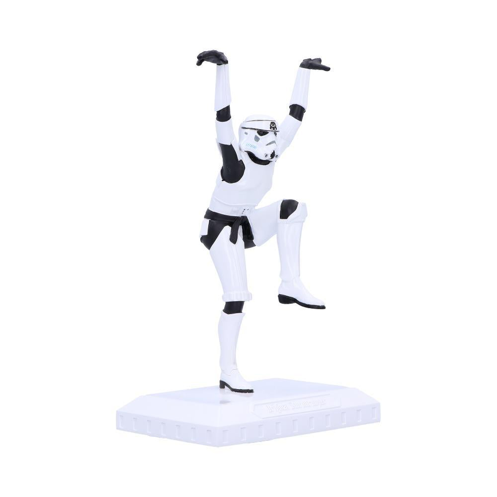 Nemesis Now Figurine (Stormtrooper - Crane Kick, 20.5cm)