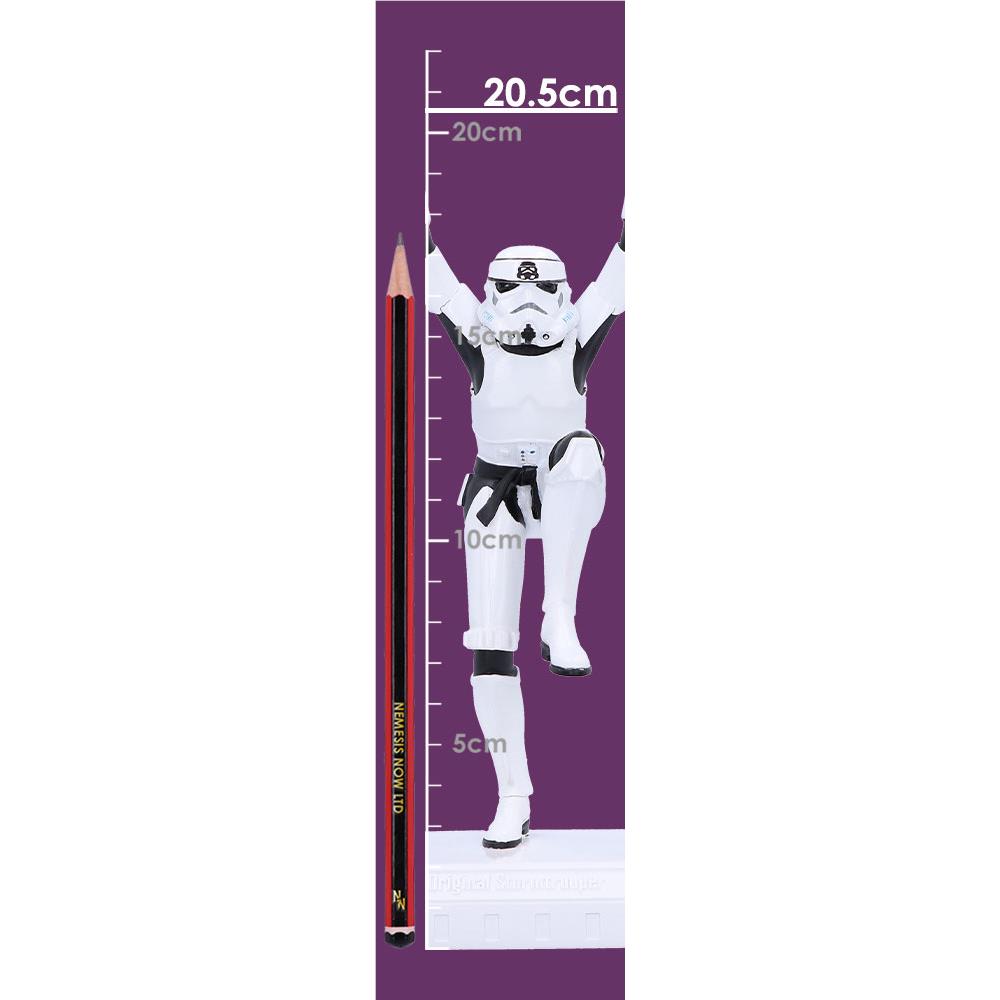 Nemesis Now Figurine (Stormtrooper - Crane Kick, 20.5cm)