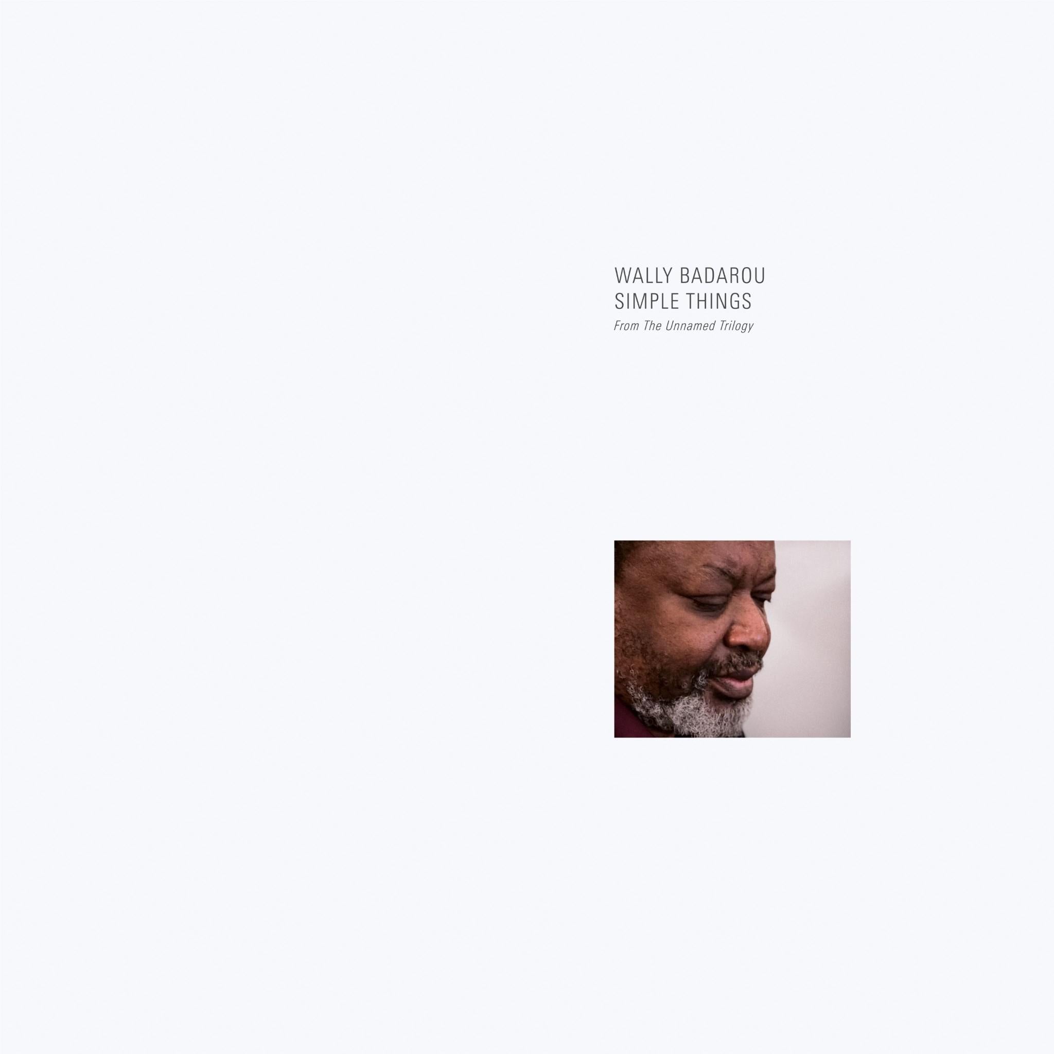 Simple Things (Vinyl) - By: Wally Badarou