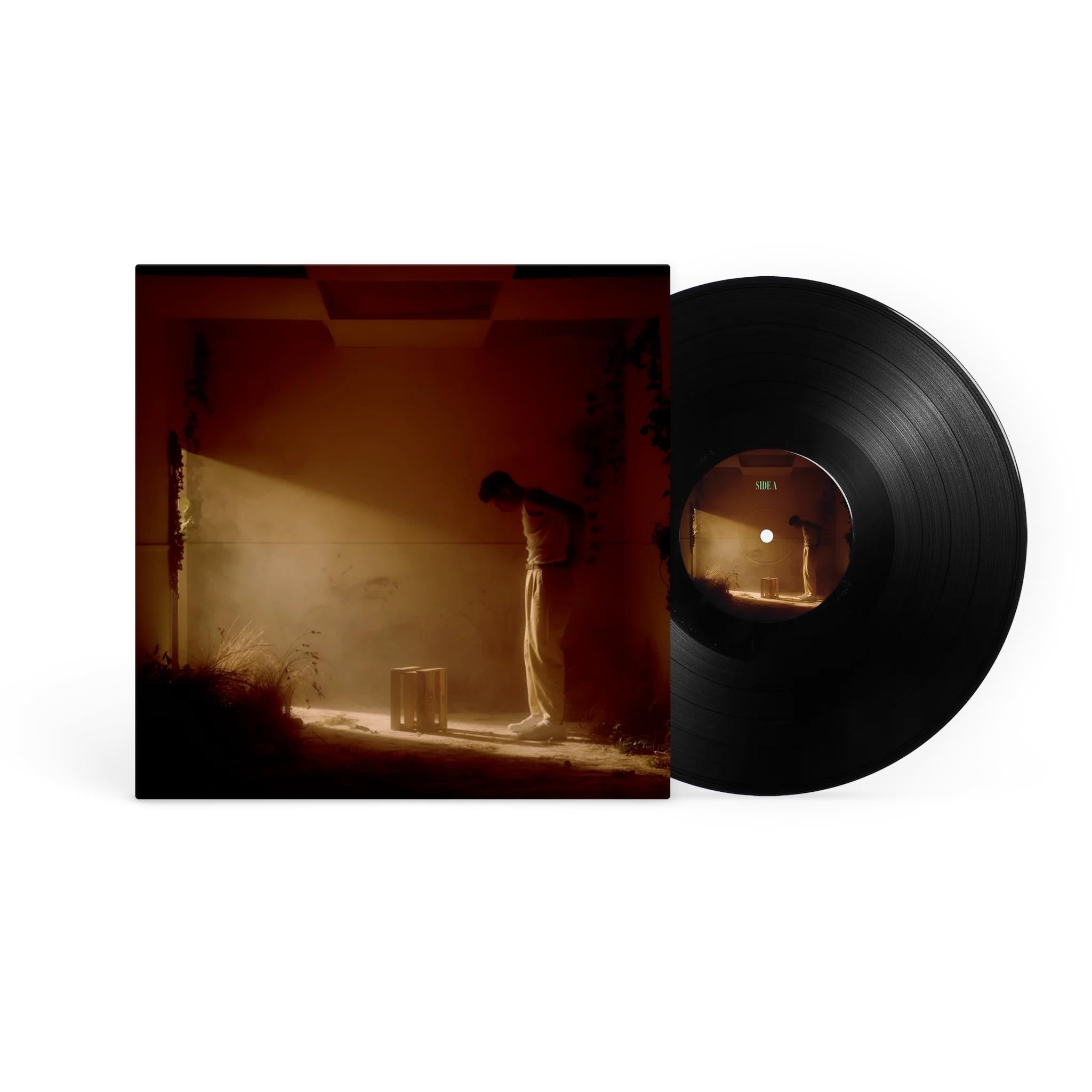 The Flowers That Grown From Concrete Pavements (Vinyl) - By: Mohi