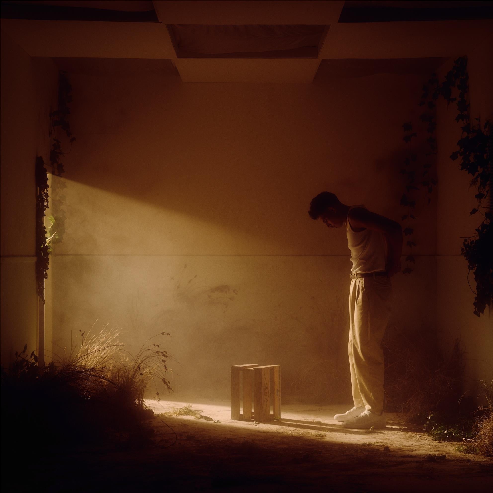 The Flowers That Grown From Concrete Pavements (Vinyl) - By: Mohi