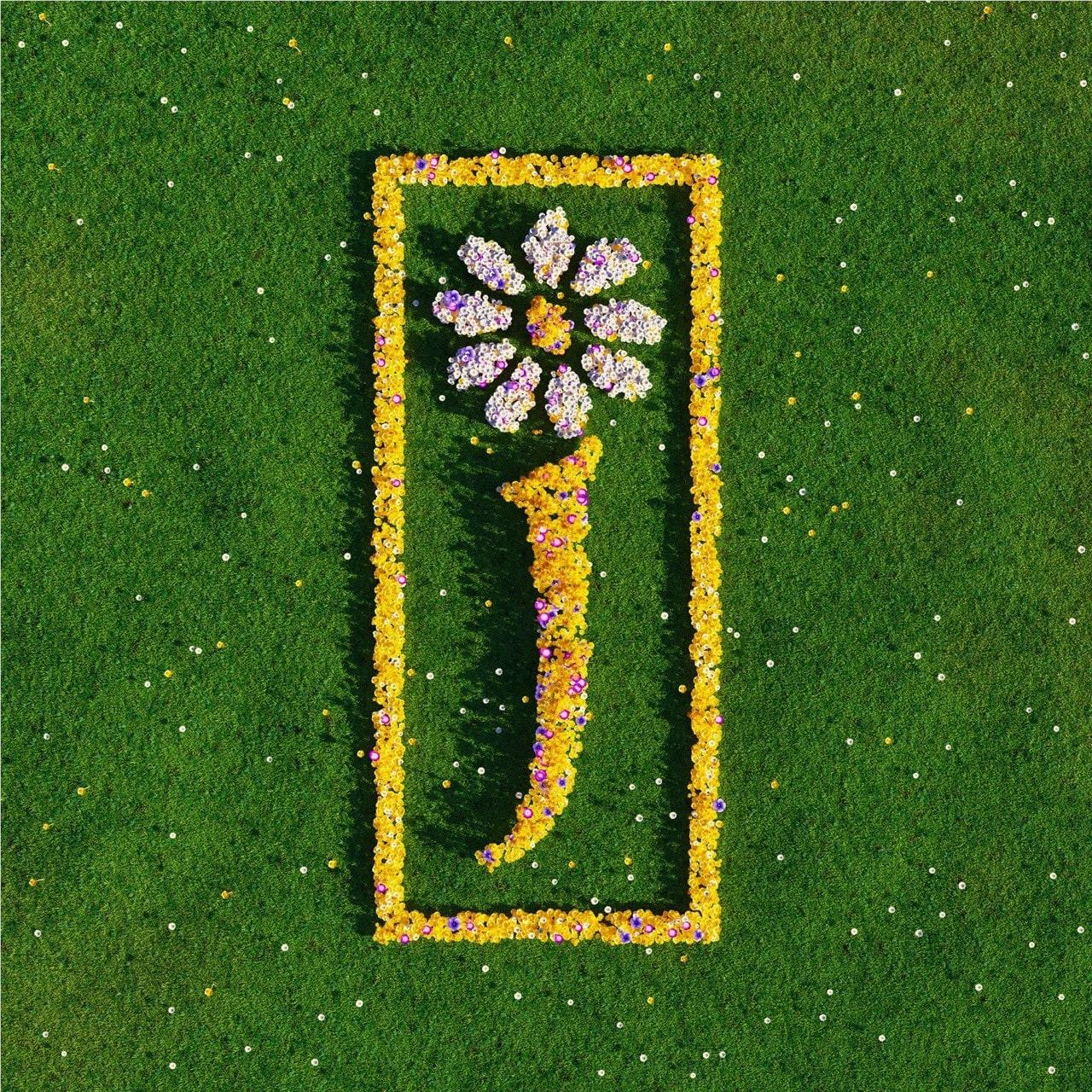 Nothing But Love - The Definitive Best Of,  By: James
