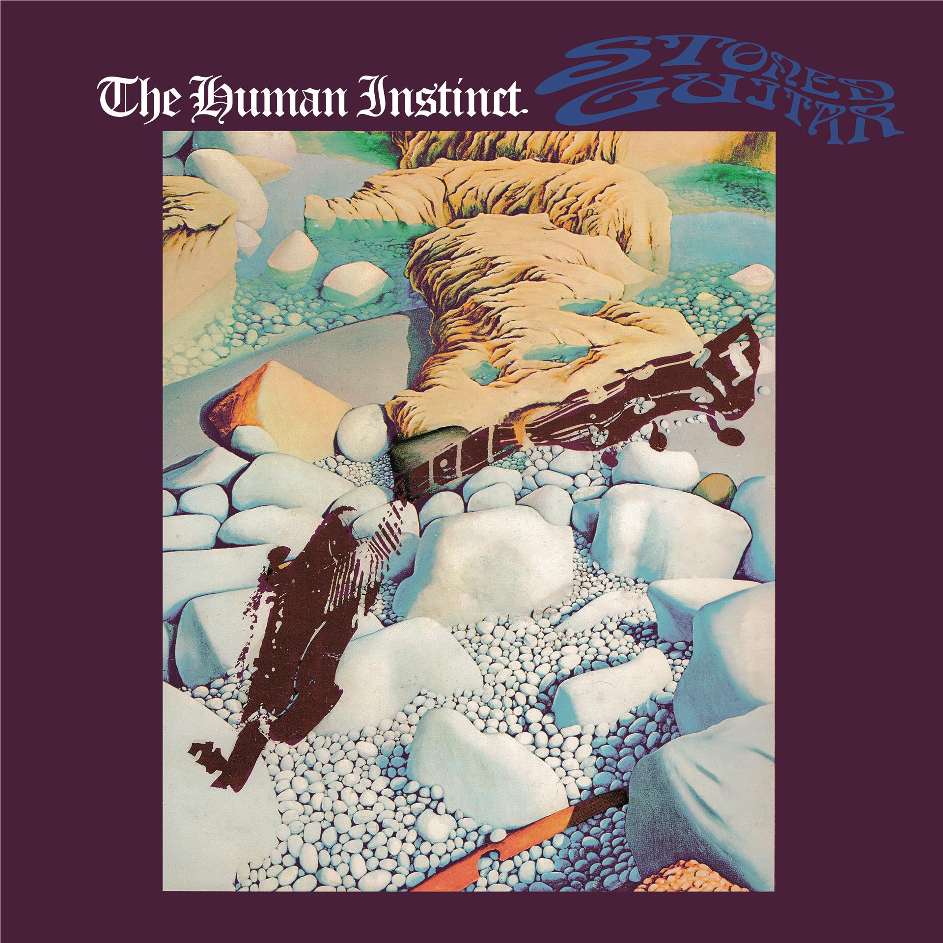 Stoned Guitar, By: The Human Instinct