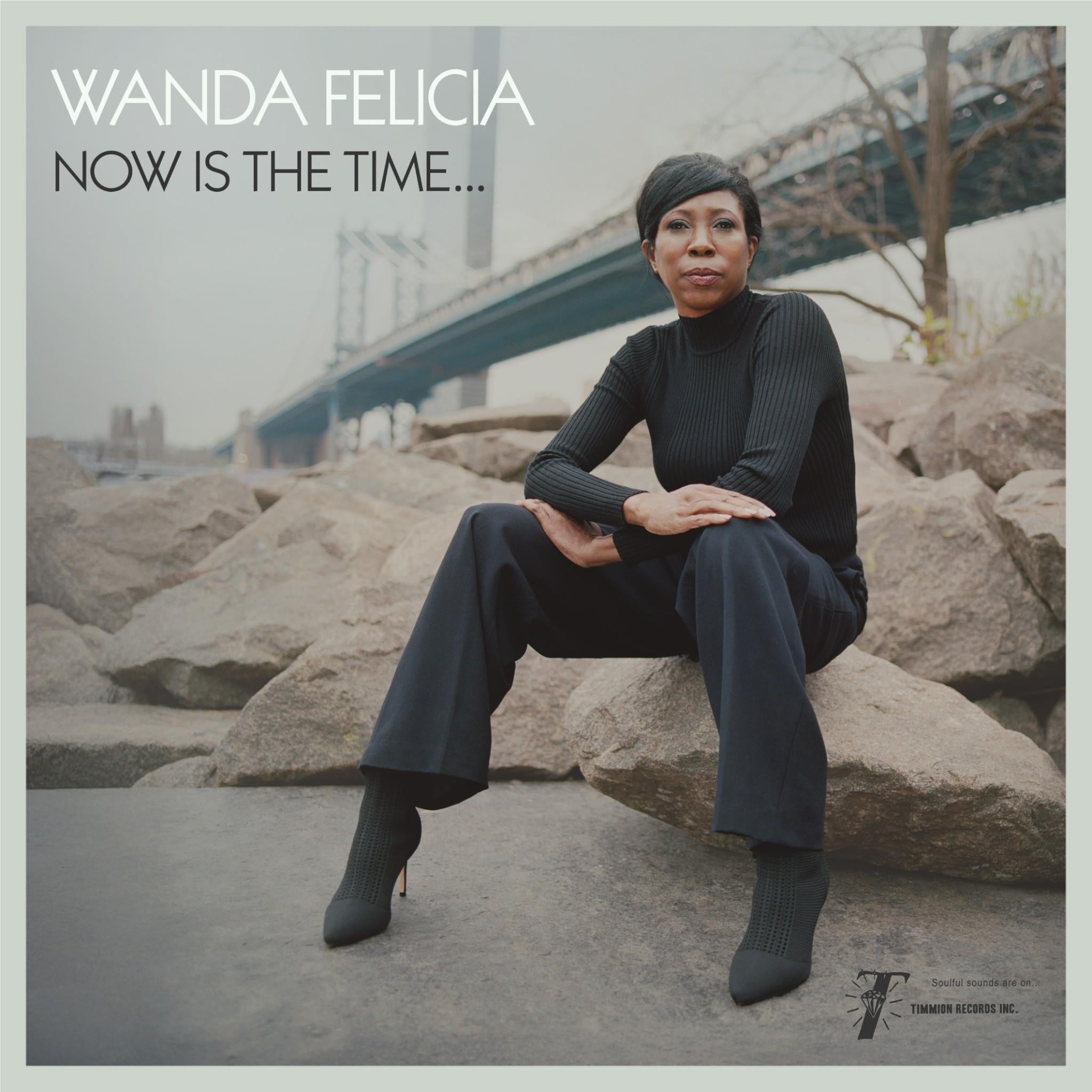 Now Is The Time…,  By: Wanda Felicia