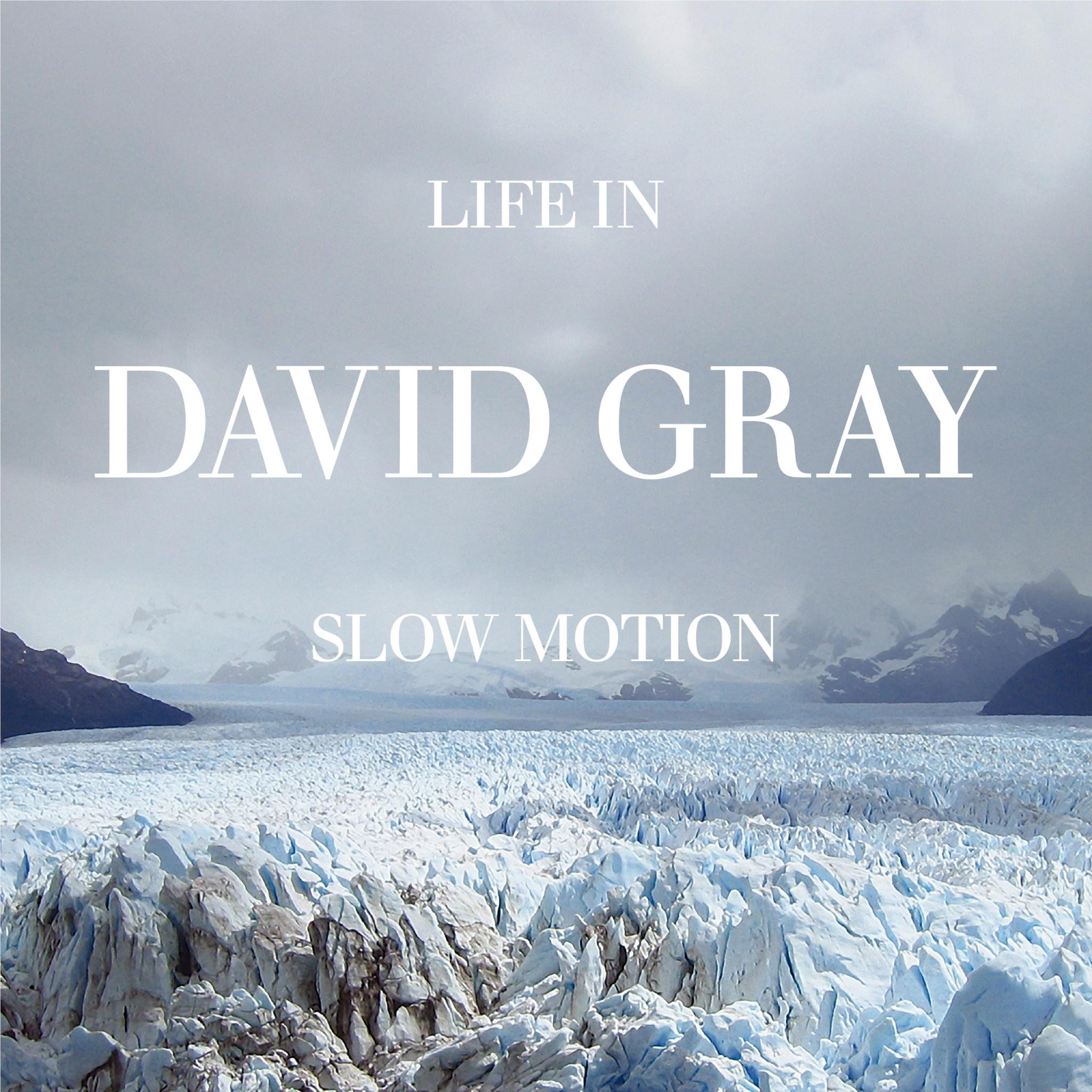 Life In Slow Motion (20th Anniversary Edition) (Blue Vinyl) - By: David Gray