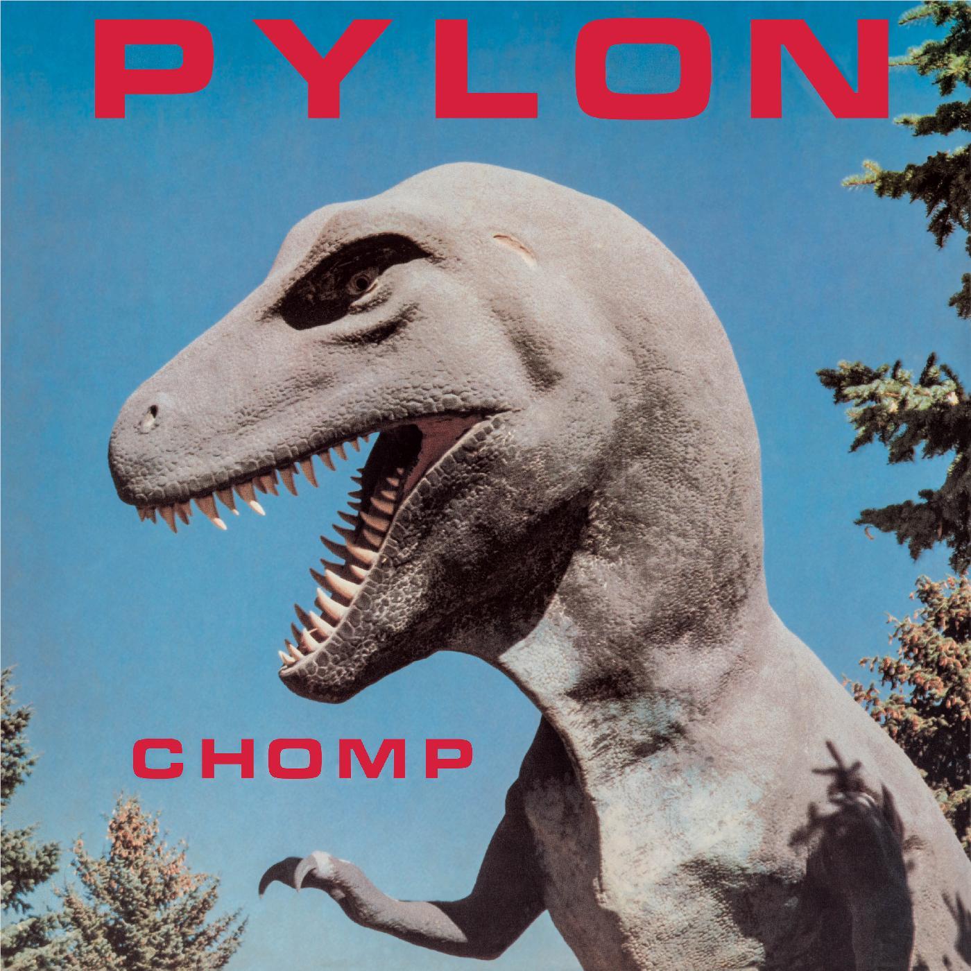Chomp (Splatter Vinyl) - By:Pylon