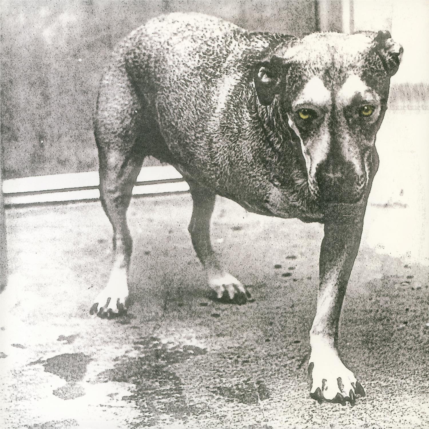 Alice In Chains (30th Anniversary Edition Neon Yellow Vinyl) - By: Alice In Chains