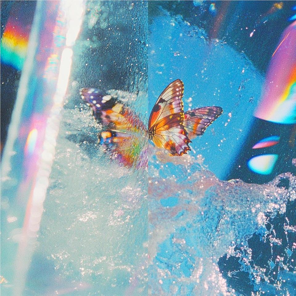 Butterfly, By: Daphni