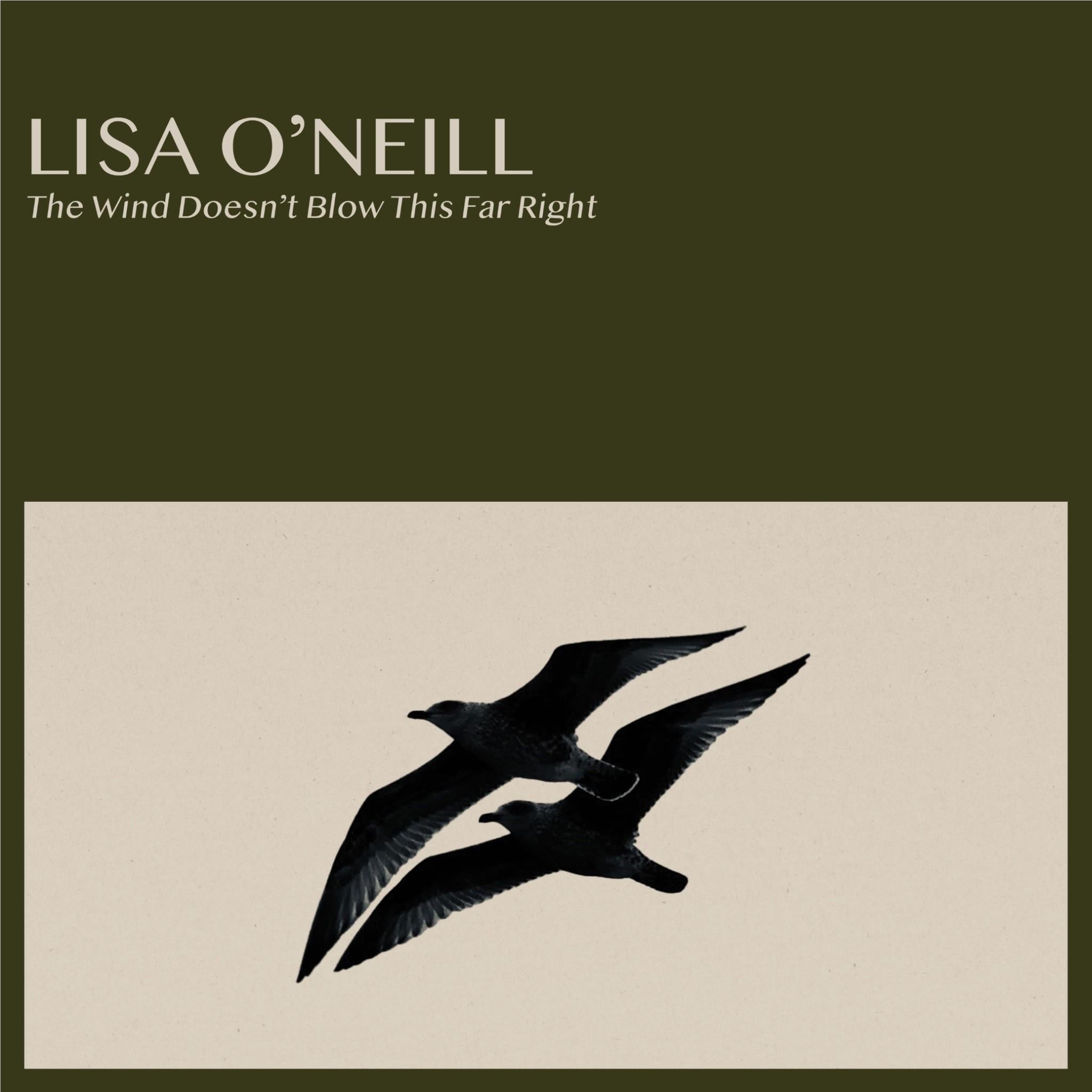 The Wind Doesn't Blow This Far Right (Vinyl) - By: Lisa O'neill