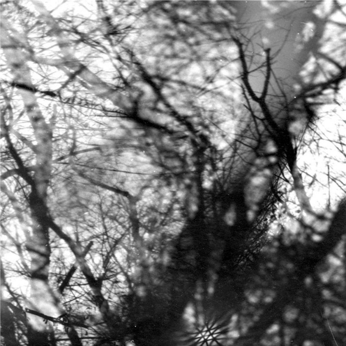 Way Their Crept (Vinyl) - By:Grouper