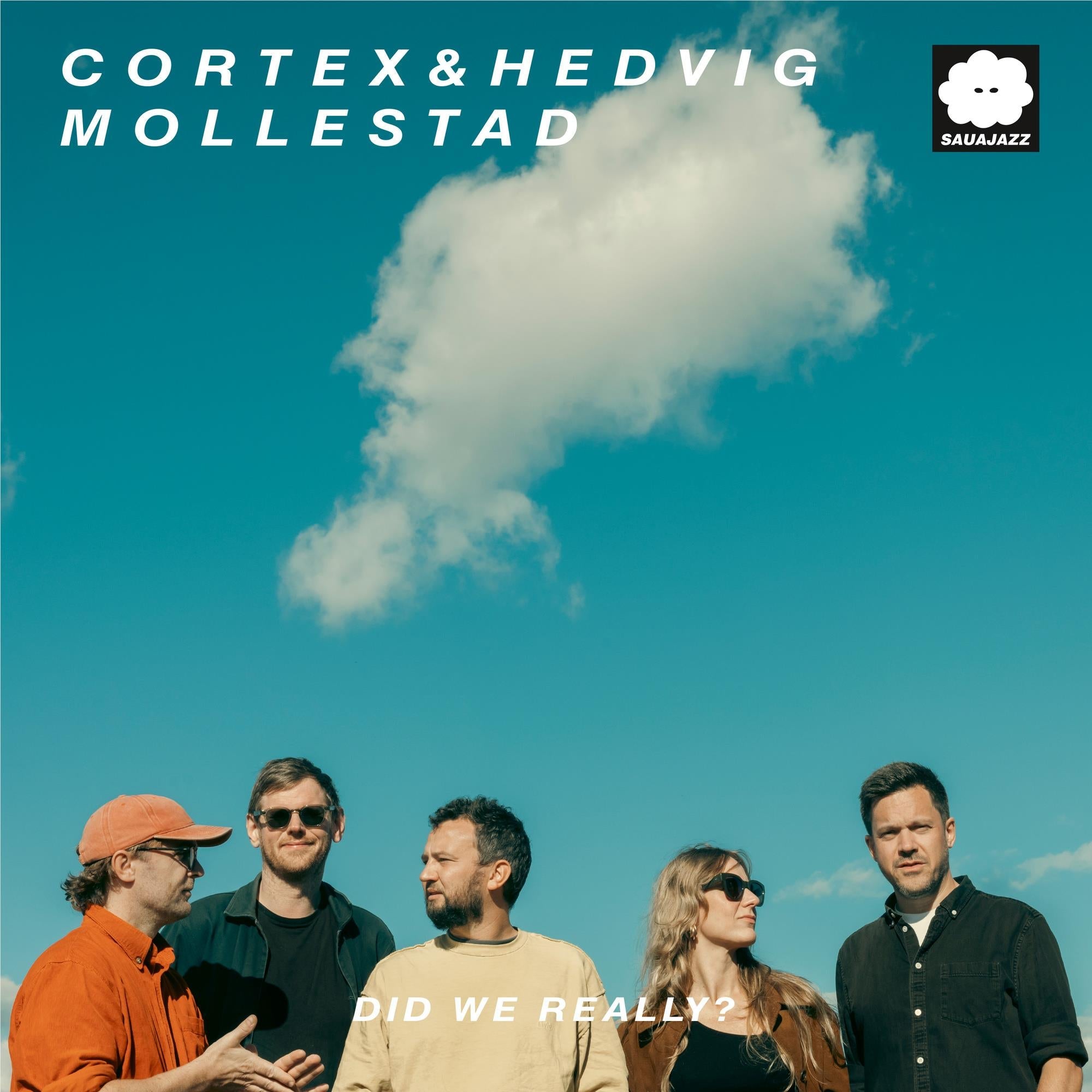 Did We Really?, By: Cortex & Hedvig Mollestad