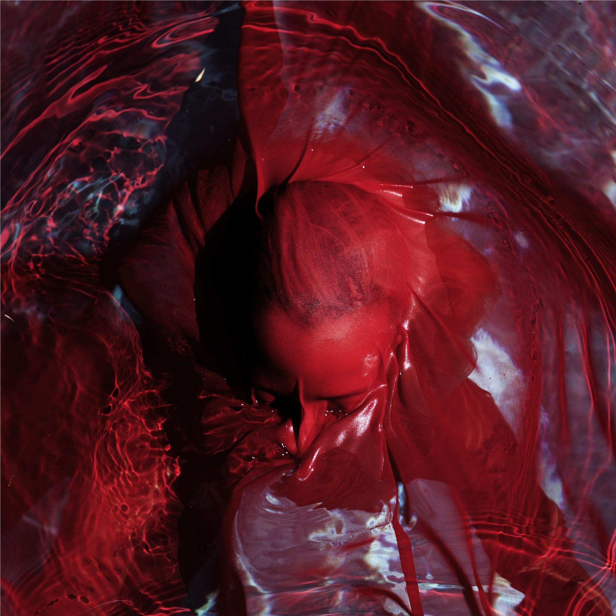 Not Here Not Gone, By: Blackwater Holylight