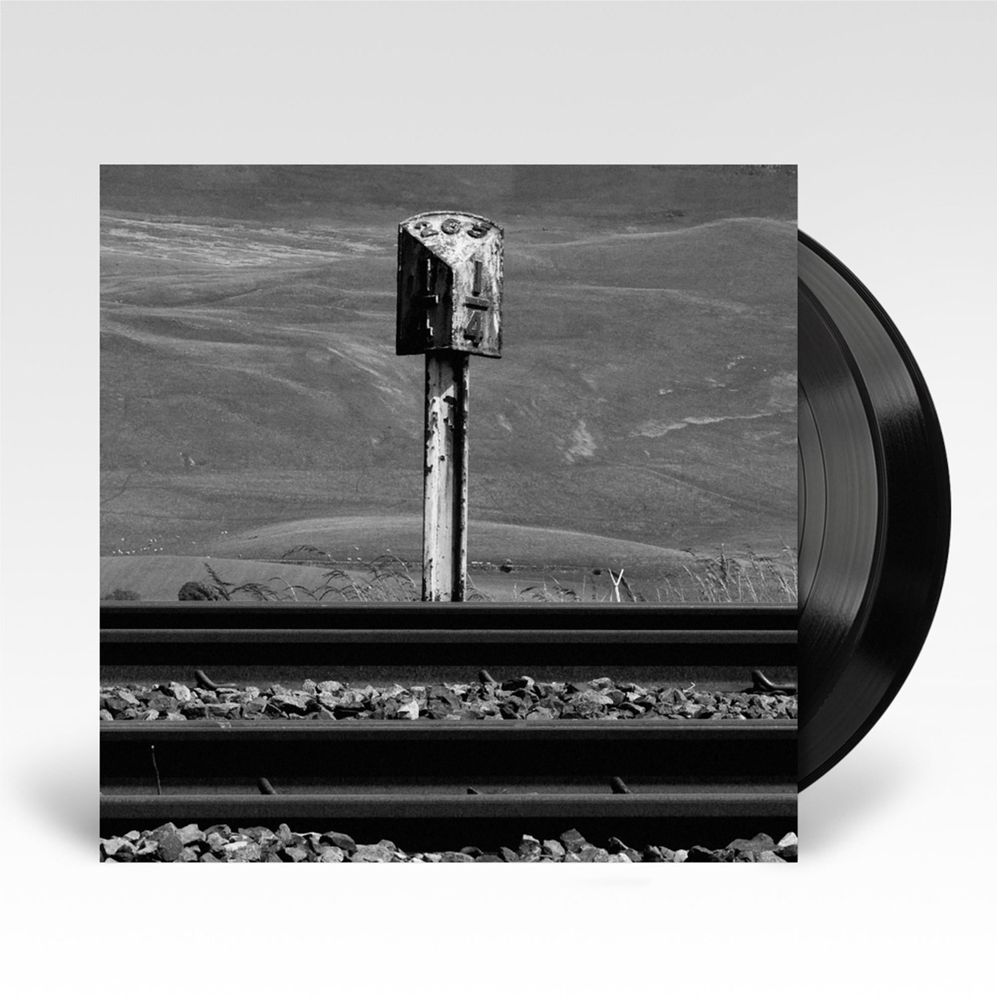 Sidings (Vinyl) - By:Craven Faults