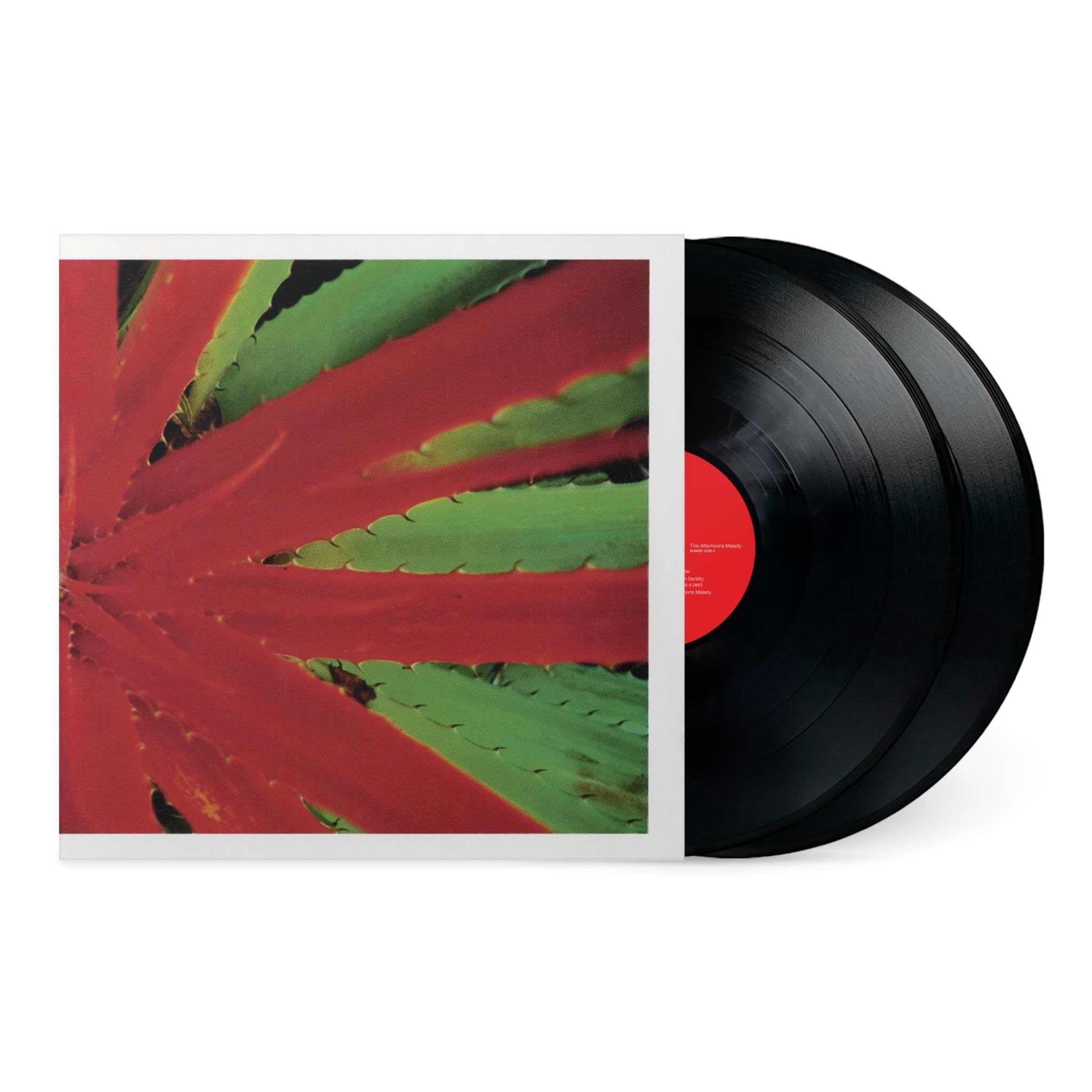 This Afternoons Malady (vinyl) - By:Jejune