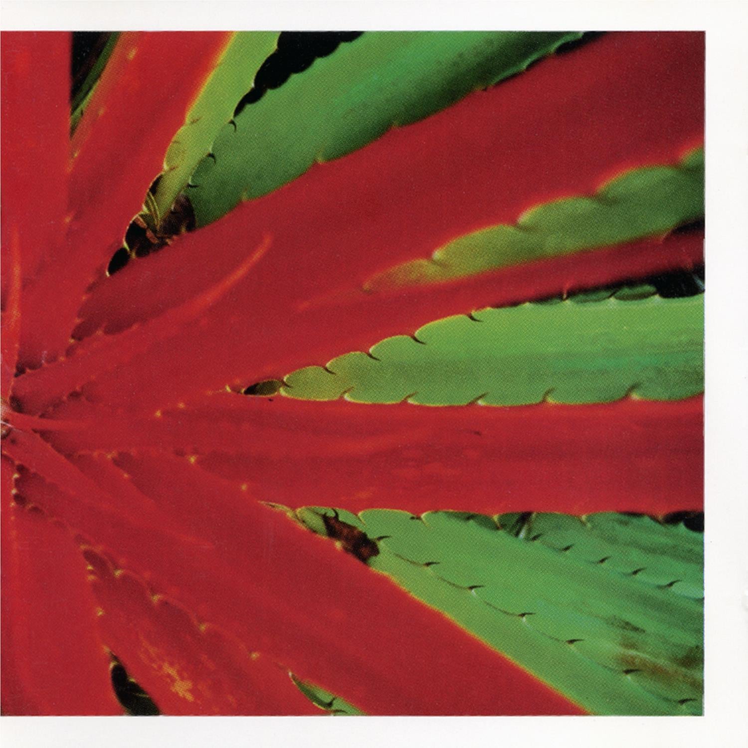 This Afternoons Malady (vinyl) - By:Jejune