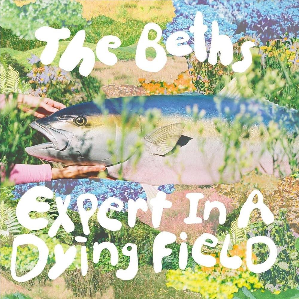 Expert In A Dying Field (Silver Vinyl) - By: The Beths
