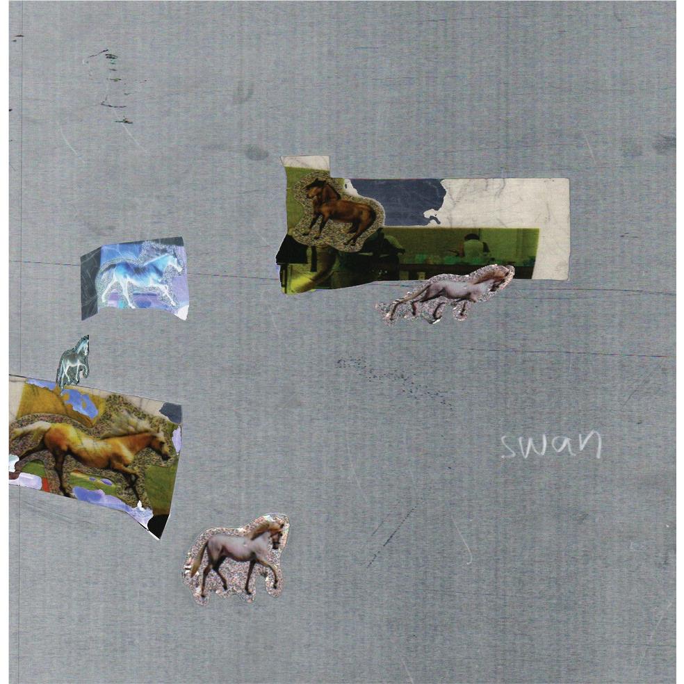 swan (Clear Vinyl) - By:Swan