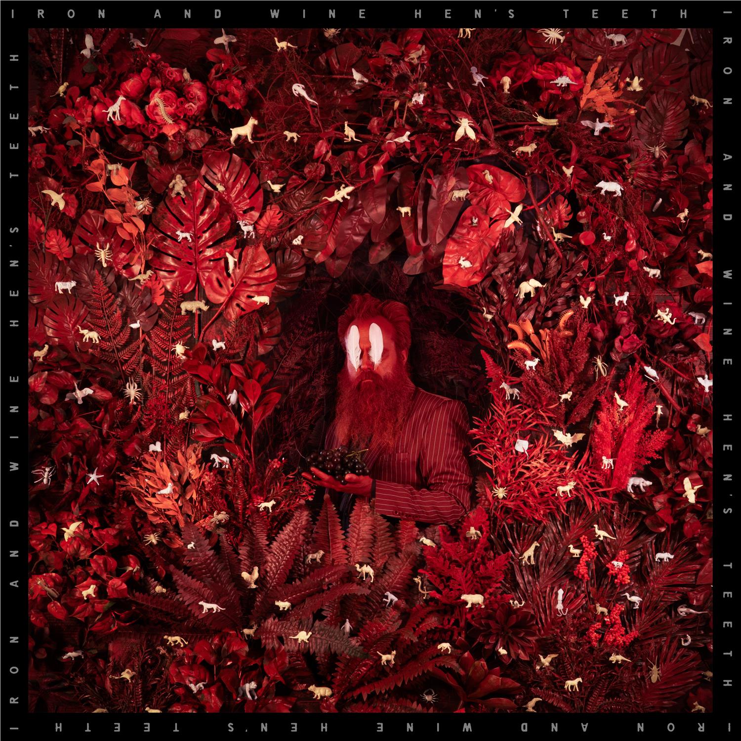 Hen’s Teeth,  By: Iron & Wine
