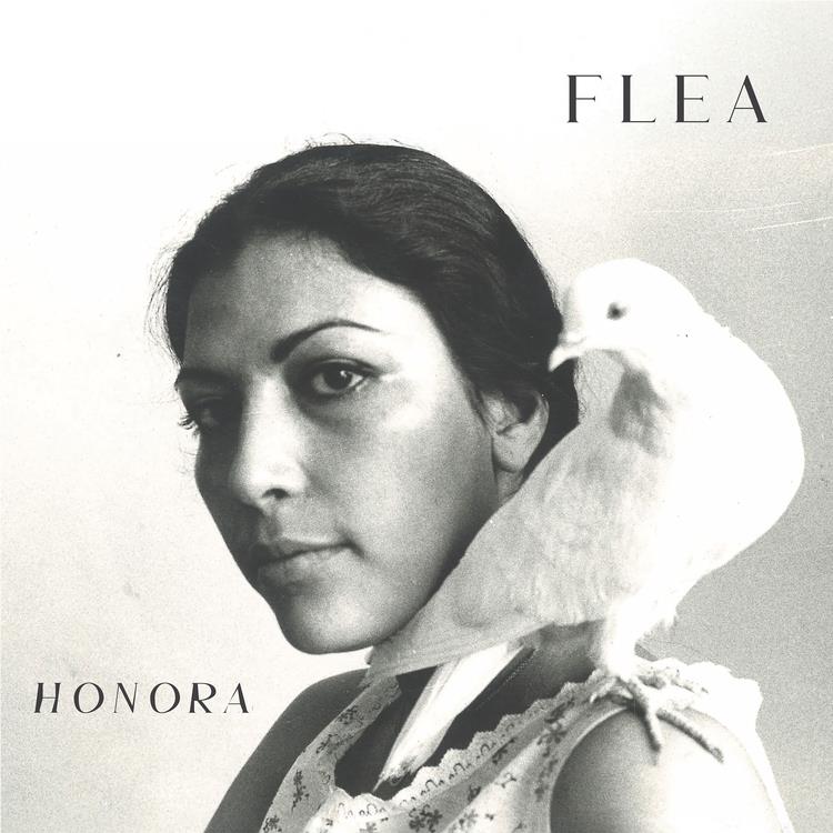 Honora, By: Flea