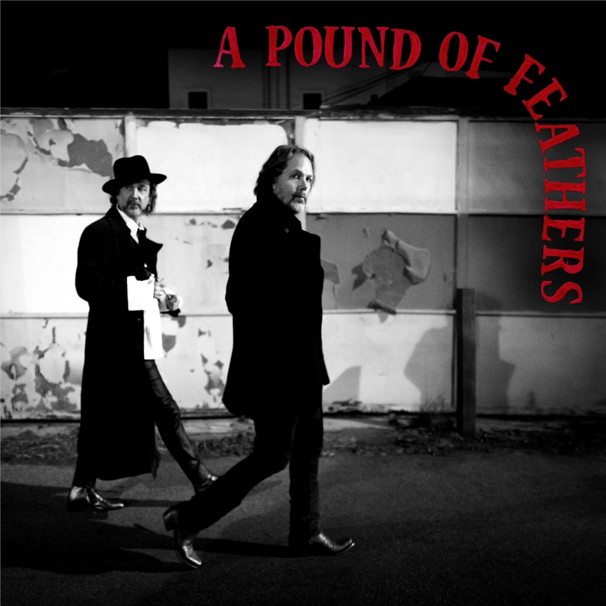 A Pound Of feathers, By: The Black Crowes