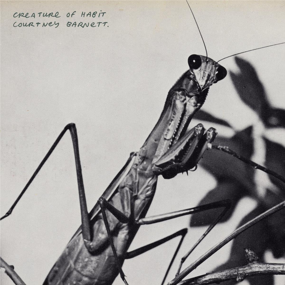 Creature Of Habit, By: Courtney Barnett